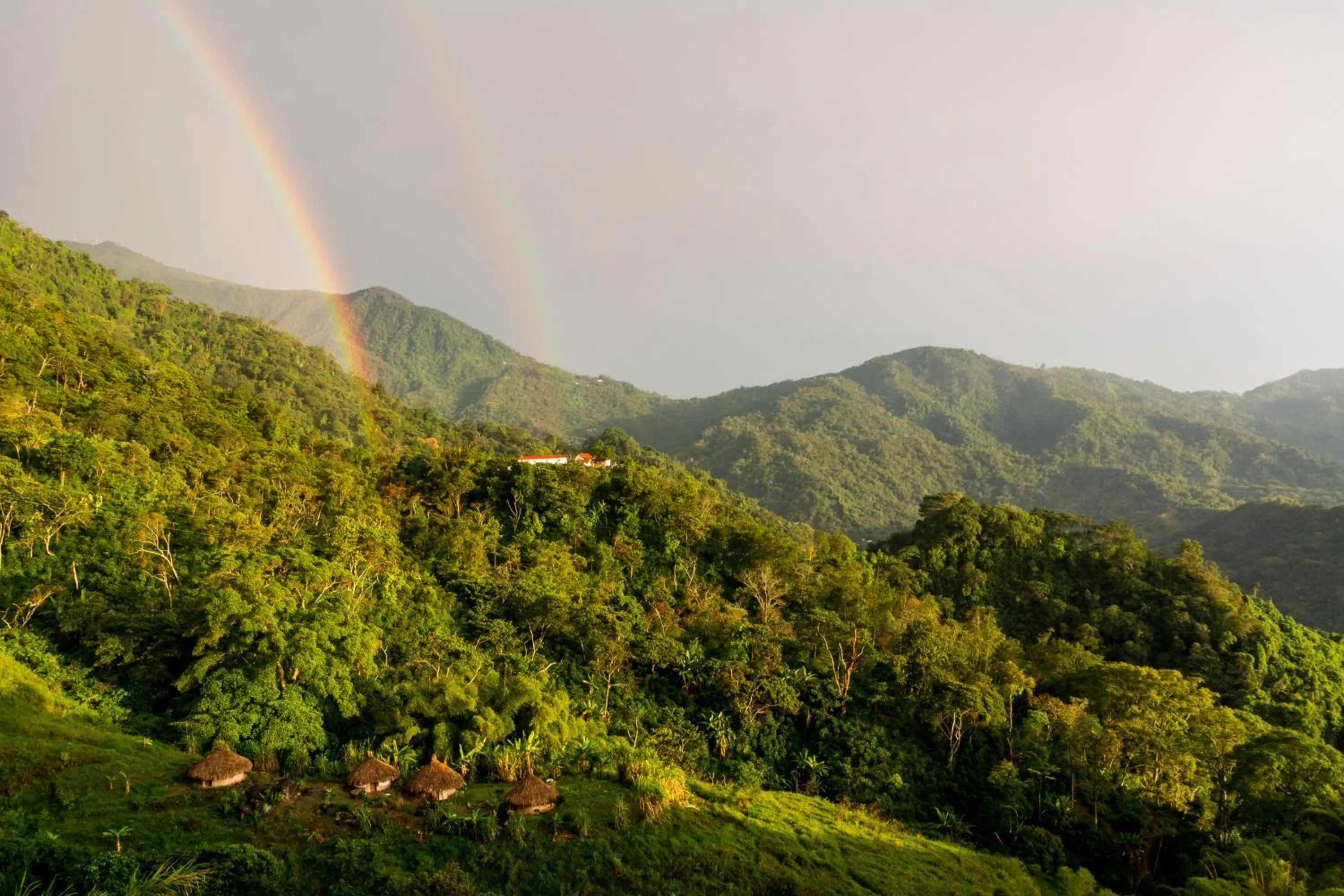 View (from property/room) in Mundo Nuevo ECO LODGE