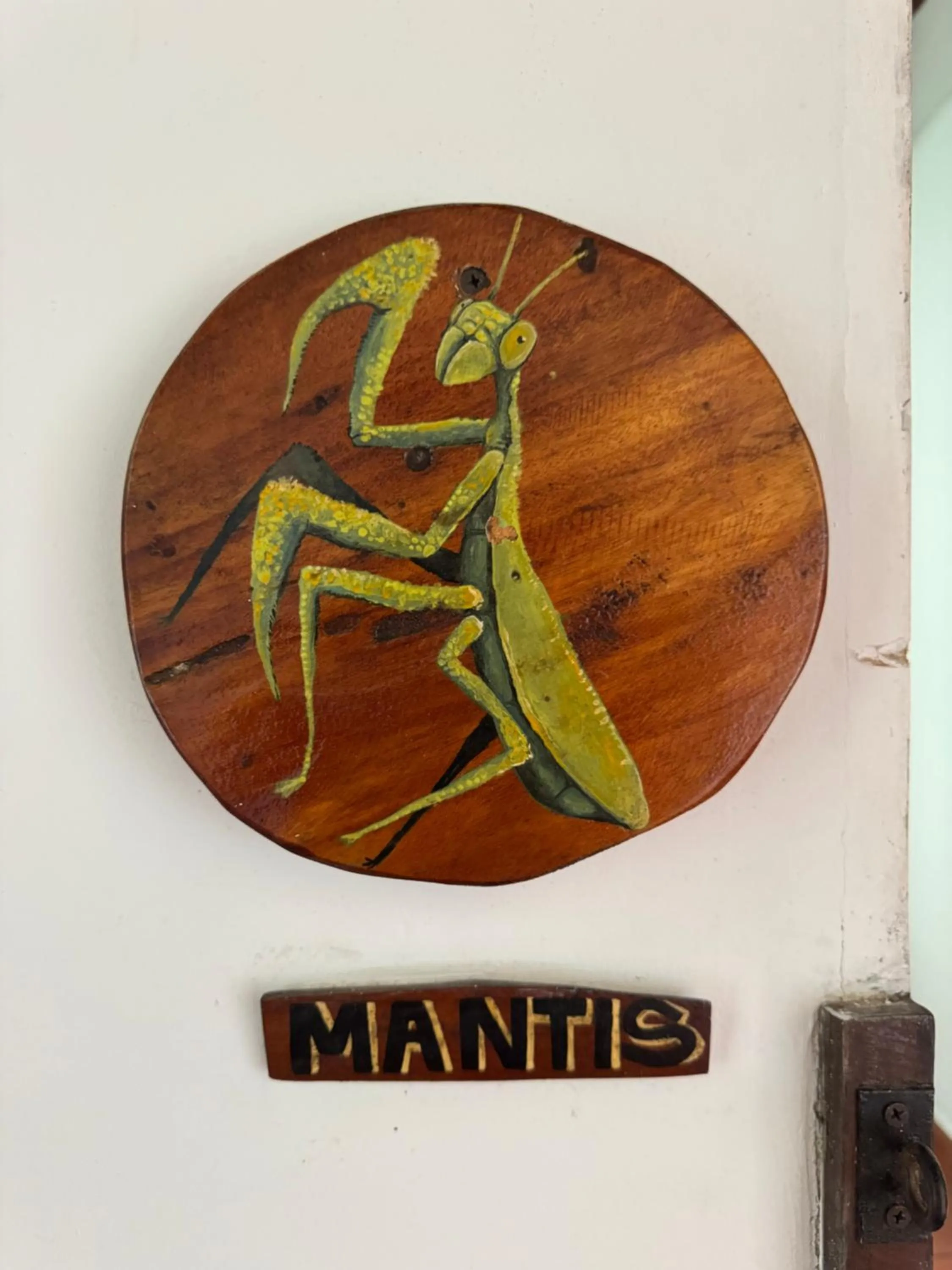 Decorative detail in Mundo Nuevo ECO LODGE