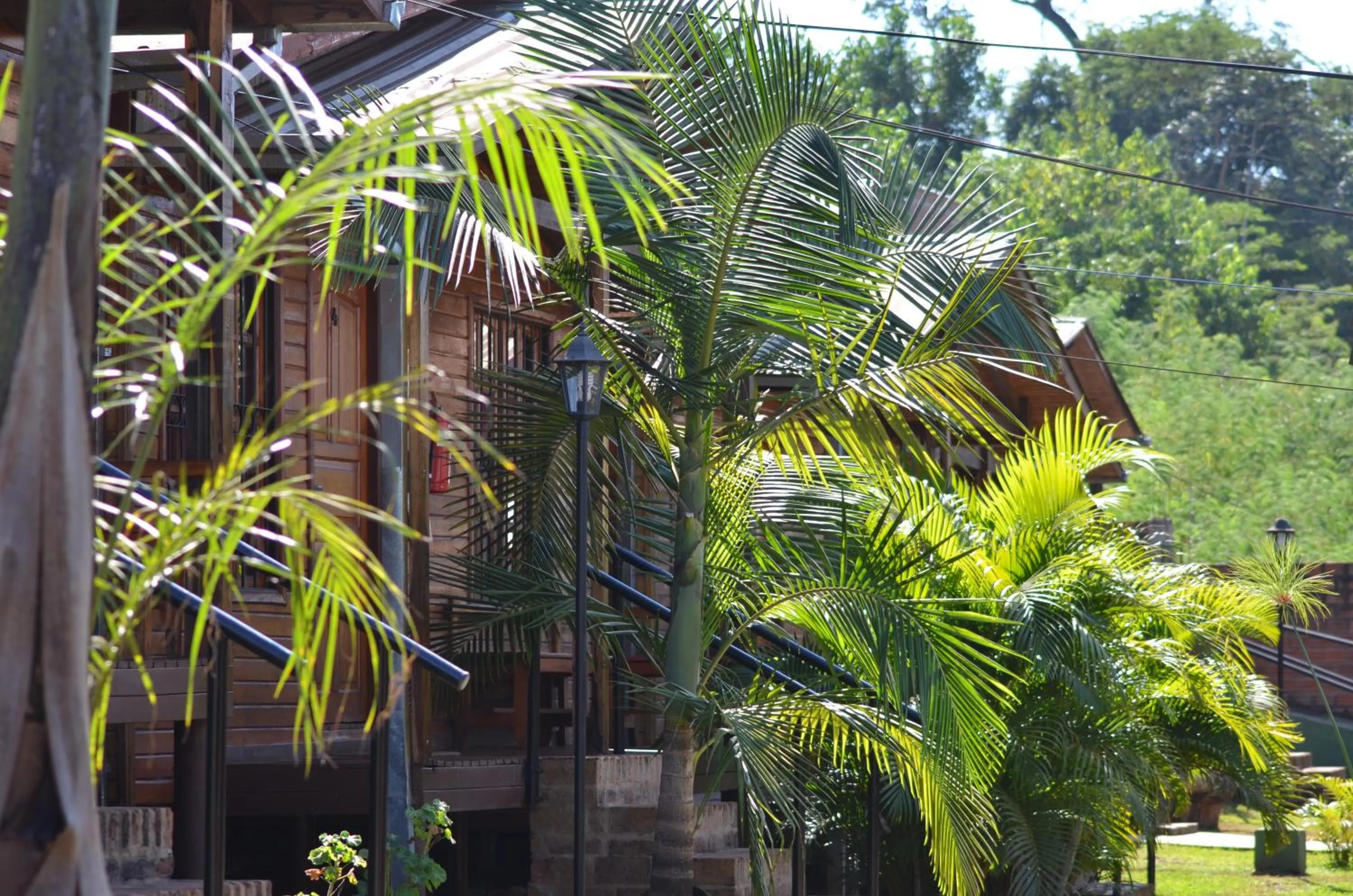 Property building in Terra Iguazú Cabañas