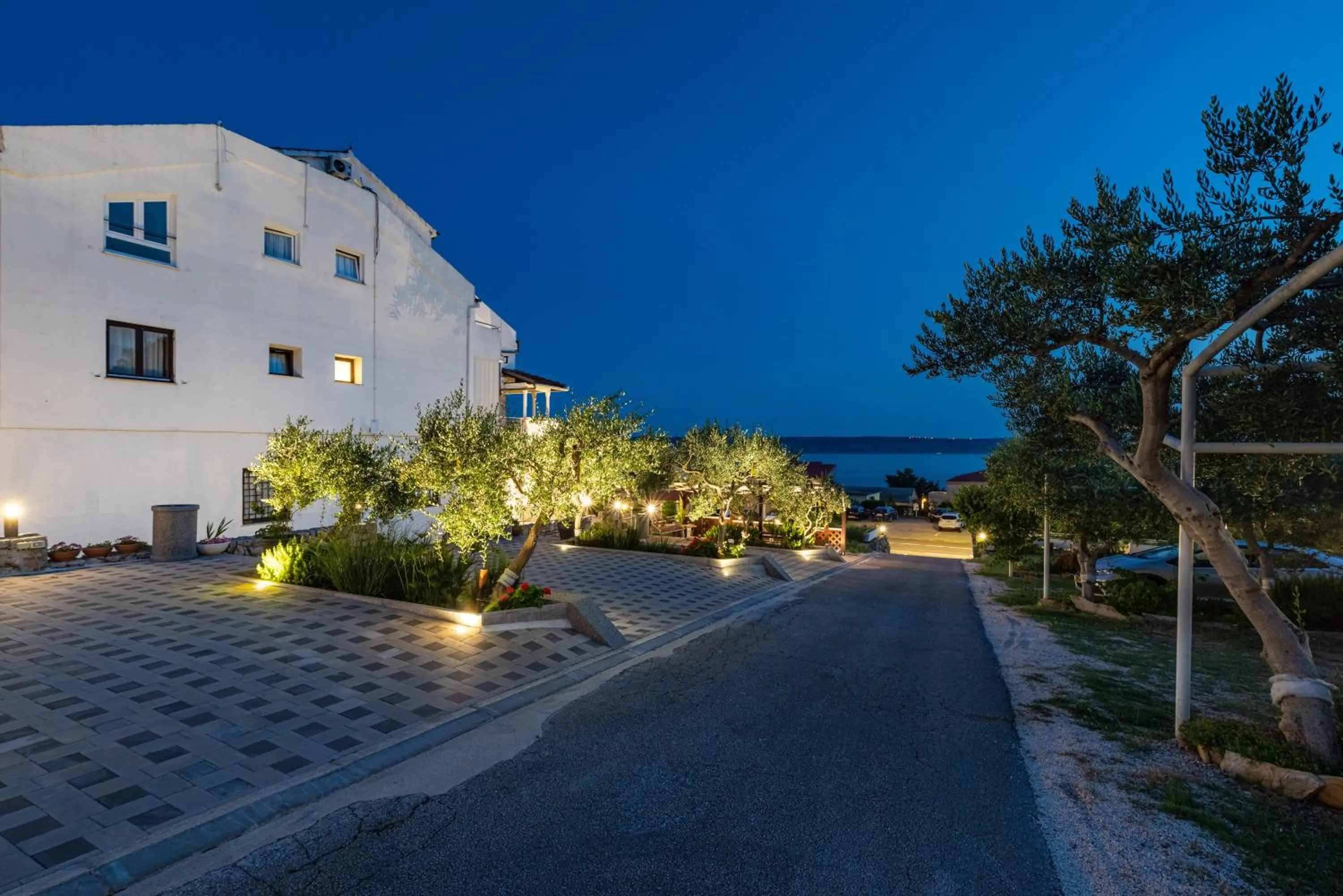 Garden in Hotel Vicko