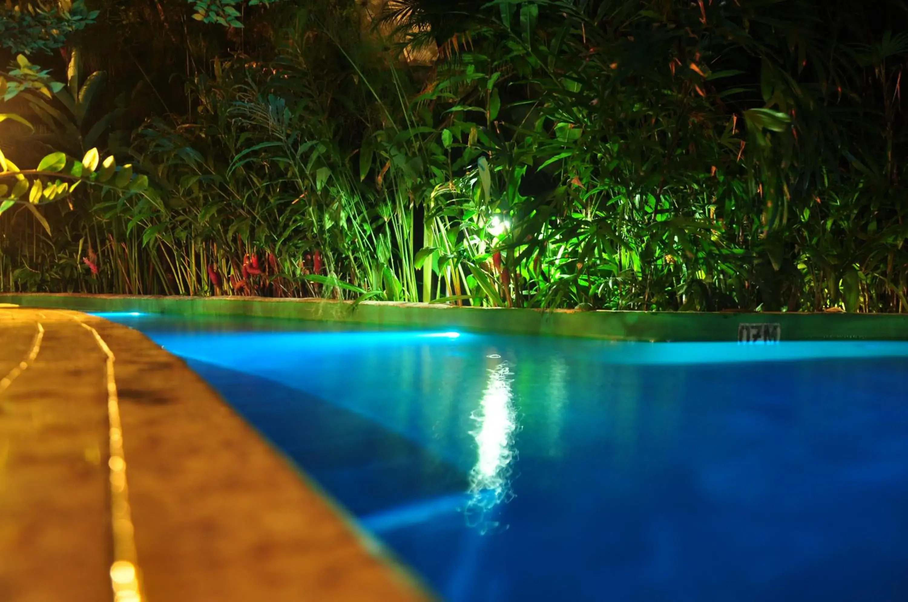 Swimming pool in Paradise Hot Springs - Thermal Water & Volcano Views Swimming pool in Paradise Hot Springs - Thermal Water & Volcano Views