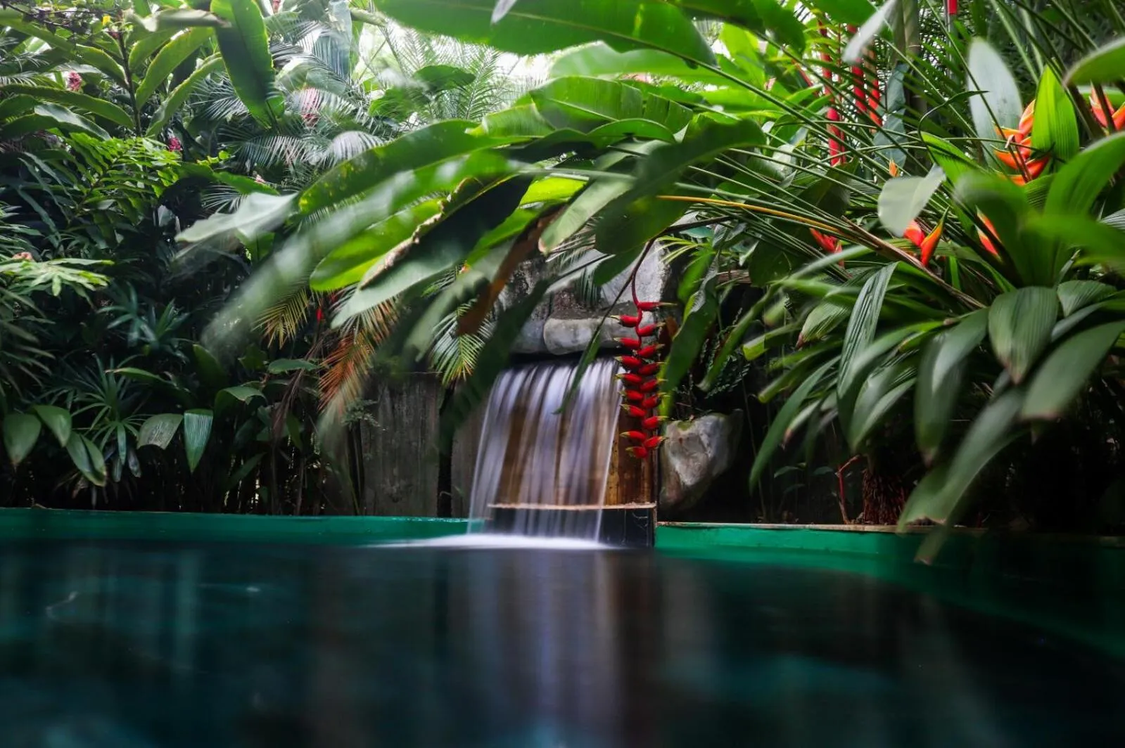 Garden in Paradise Hot Springs - Thermal Water & Volcano Views