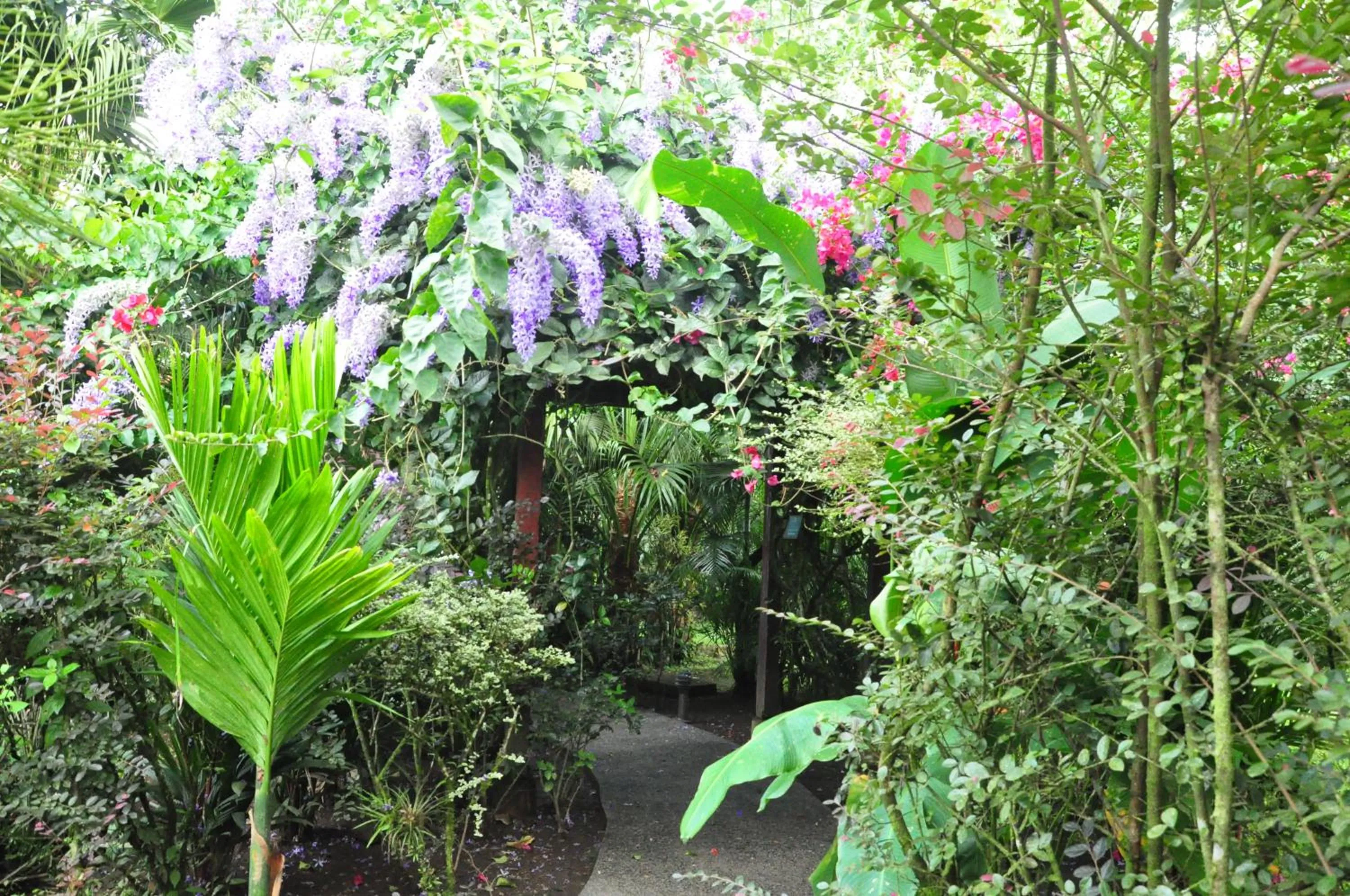 Natural landscape in Paradise Hot Springs - Thermal Water & Volcano Views