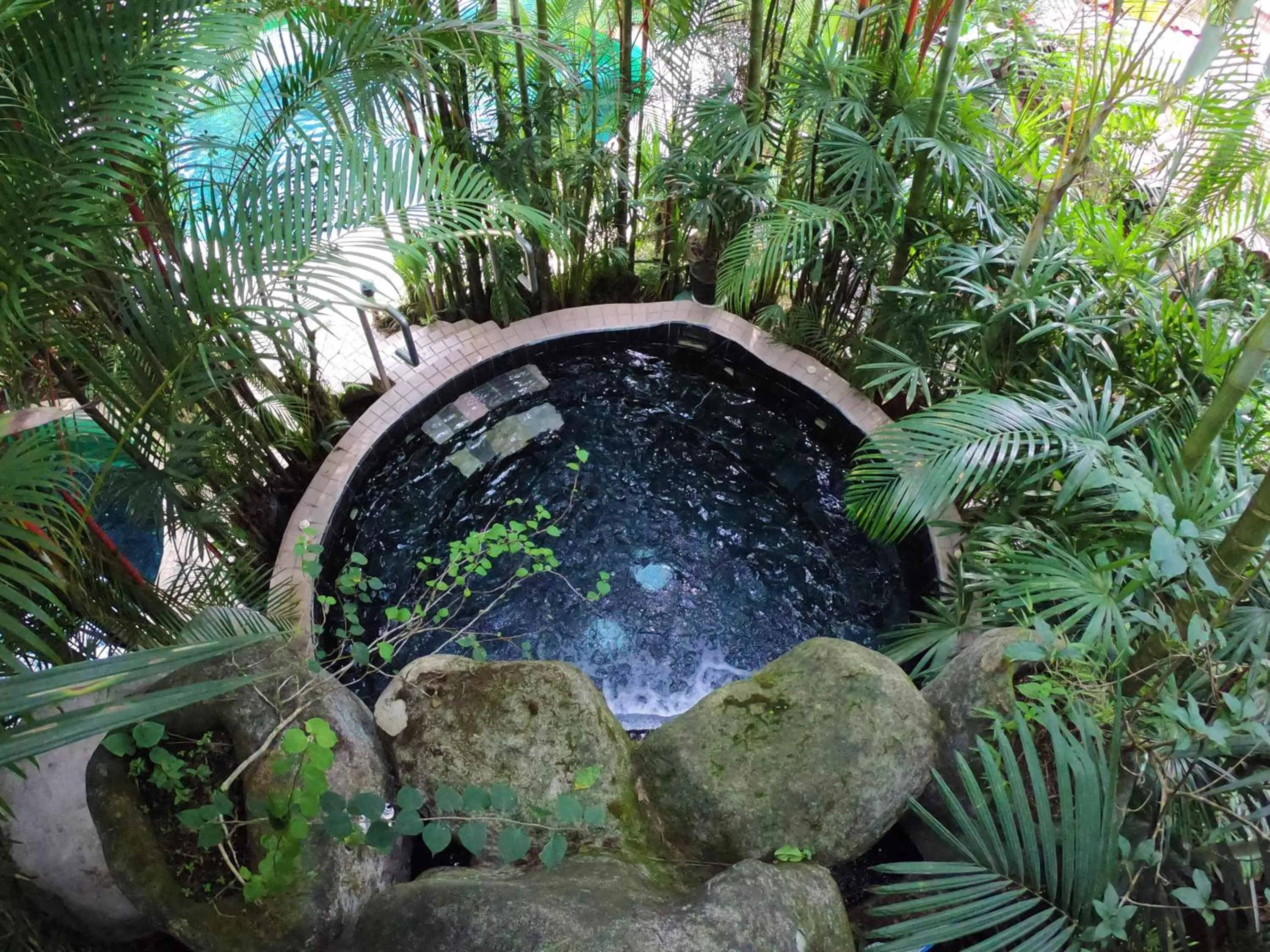 Garden in Paradise Hot Springs - Thermal Water & Volcano Views