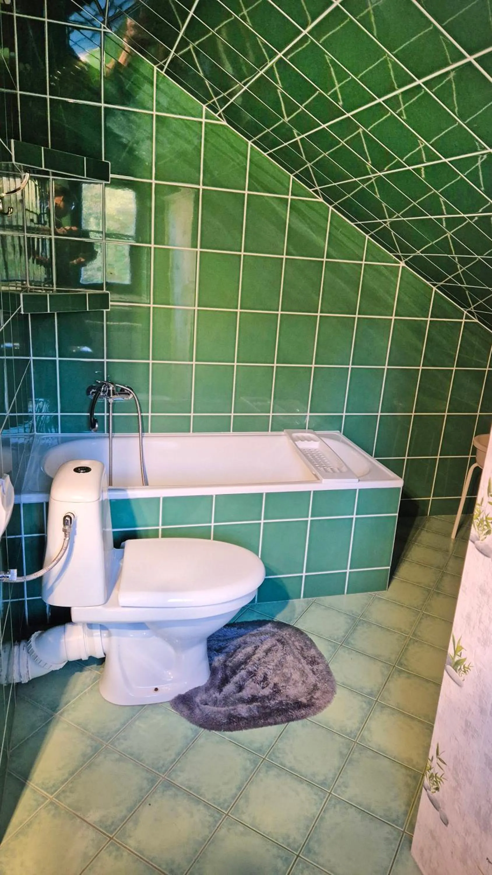 Toilet in VILLA MEDICA - z ogrzewanym basenem i pełnym wyżywieniem