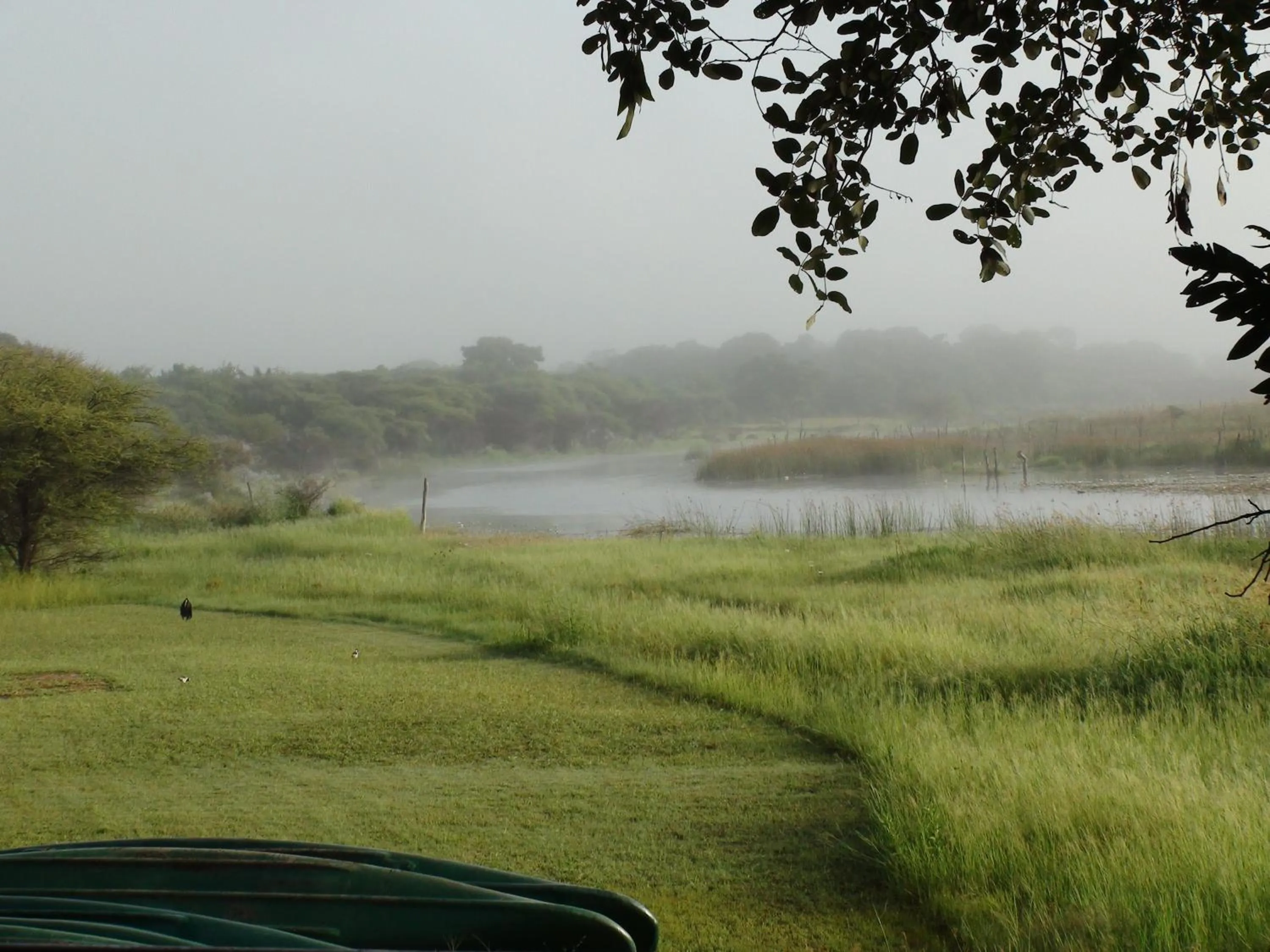 Natural landscape in Island Safari Lodge