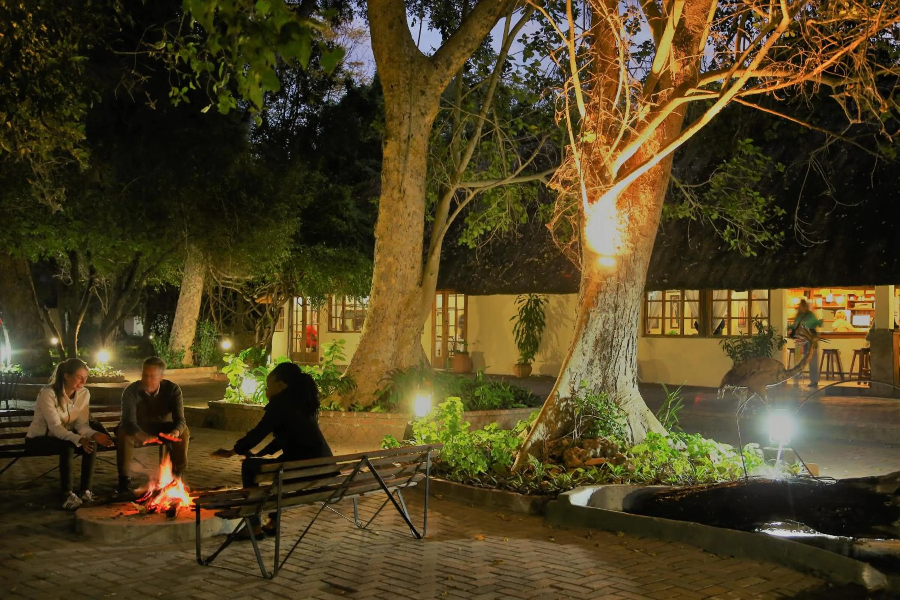 Property building in Island Safari Lodge