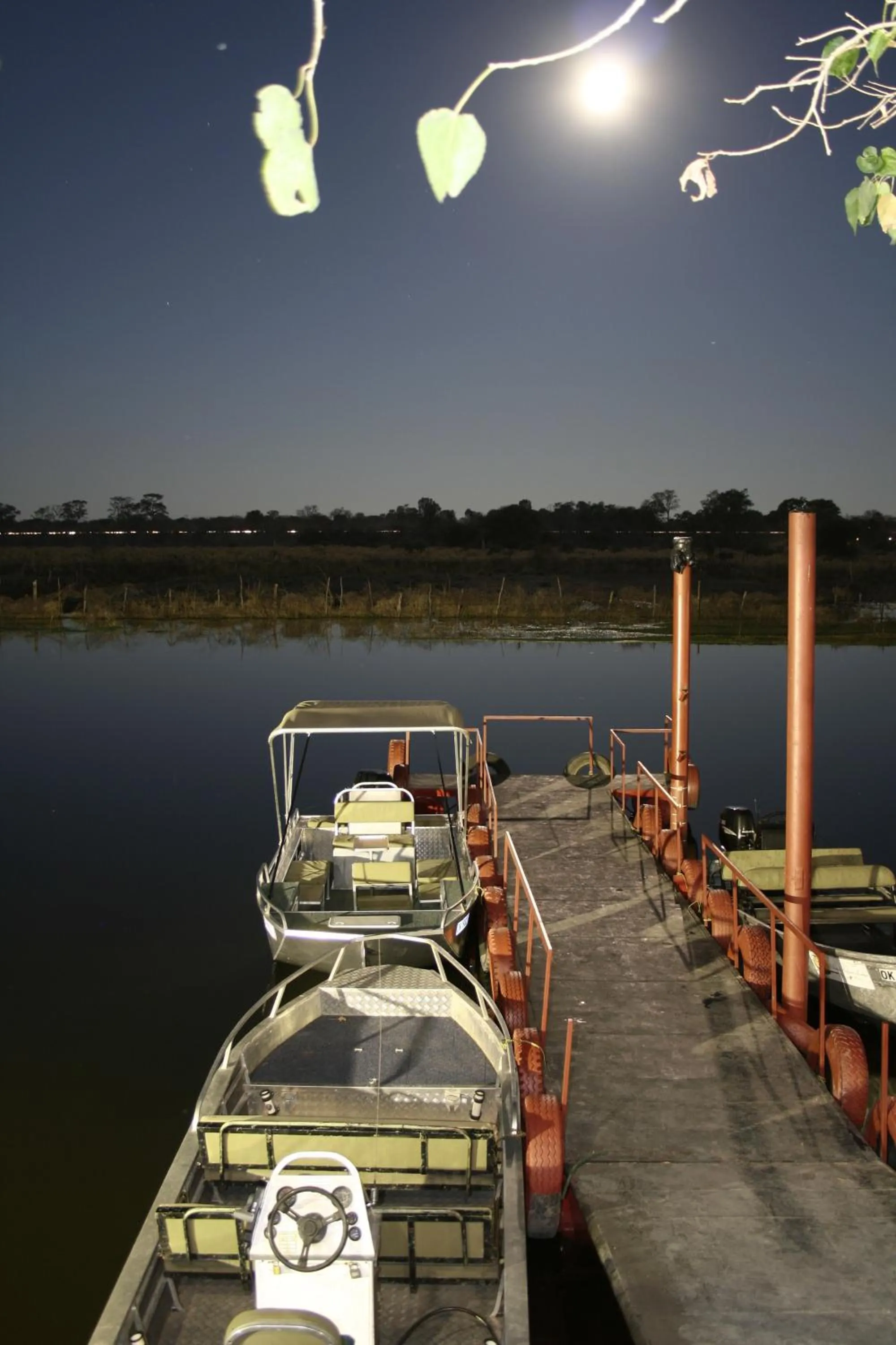 Natural landscape in Island Safari Lodge