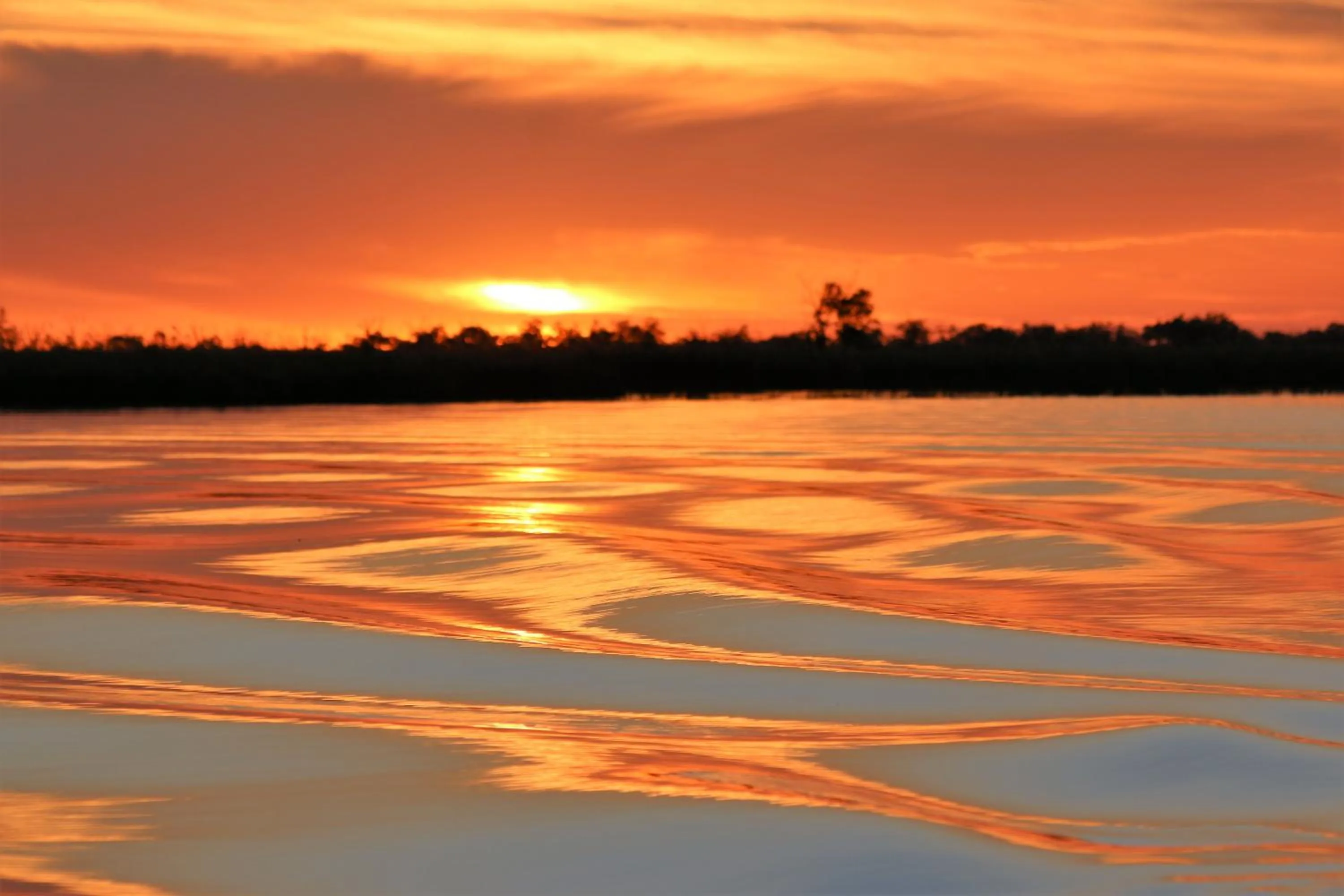 Natural landscape in Island Safari Lodge