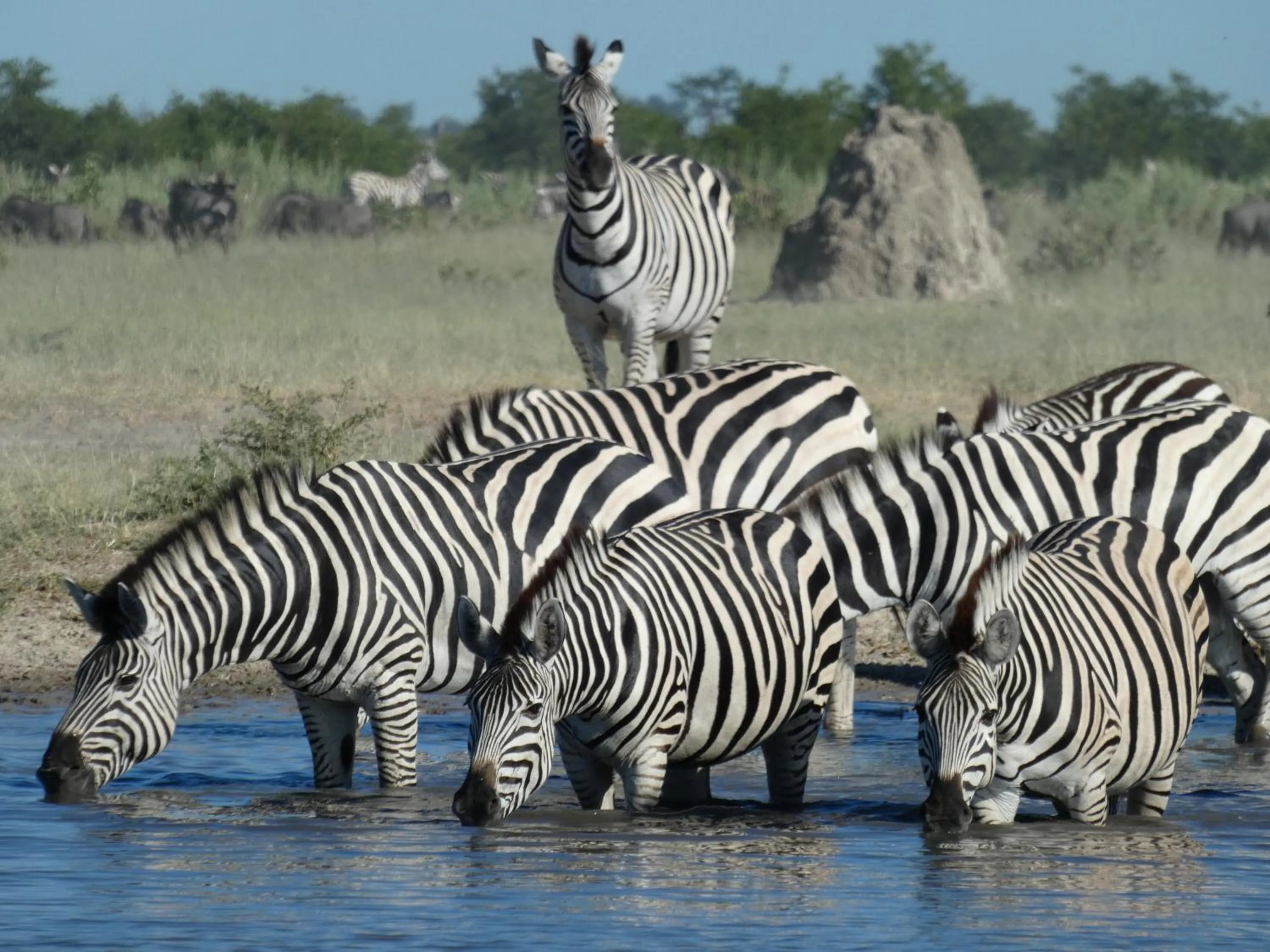 Activities in Island Safari Lodge