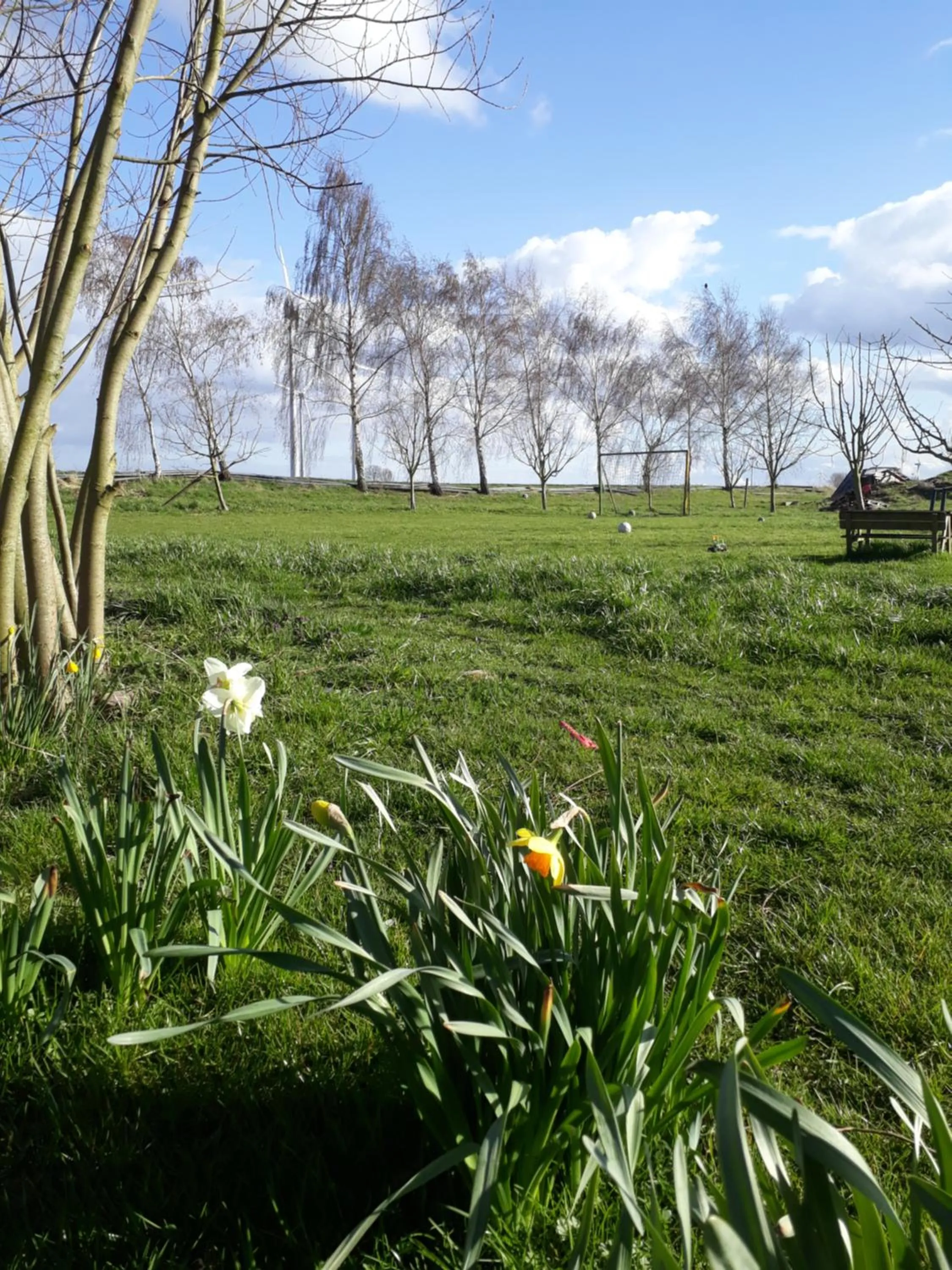 Garden in Bingers kleine Scheune