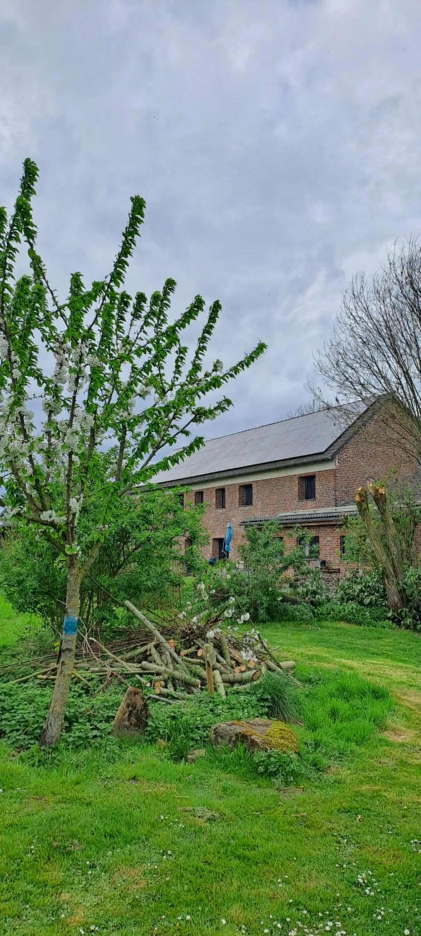 Property building in Bingers kleine Scheune