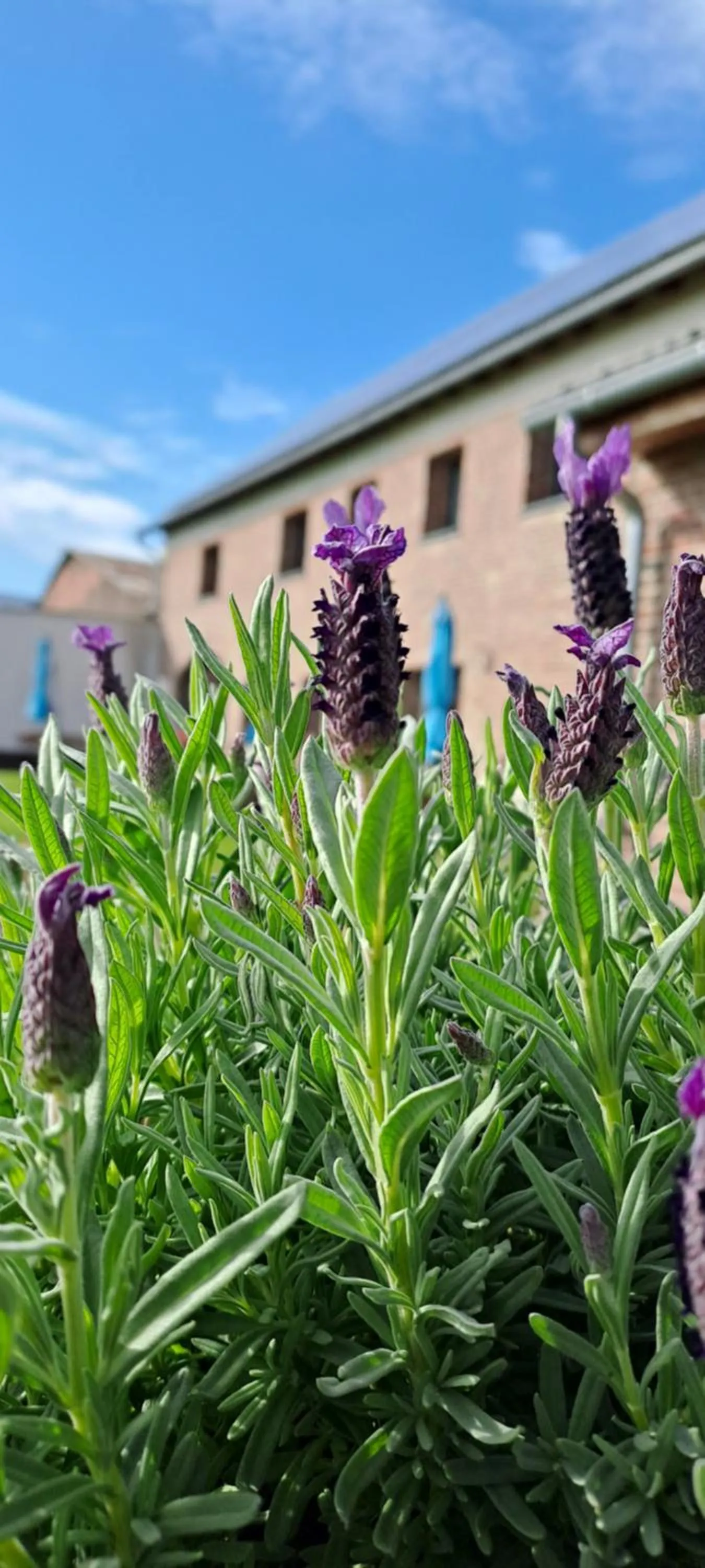 Property building in Bingers kleine Scheune