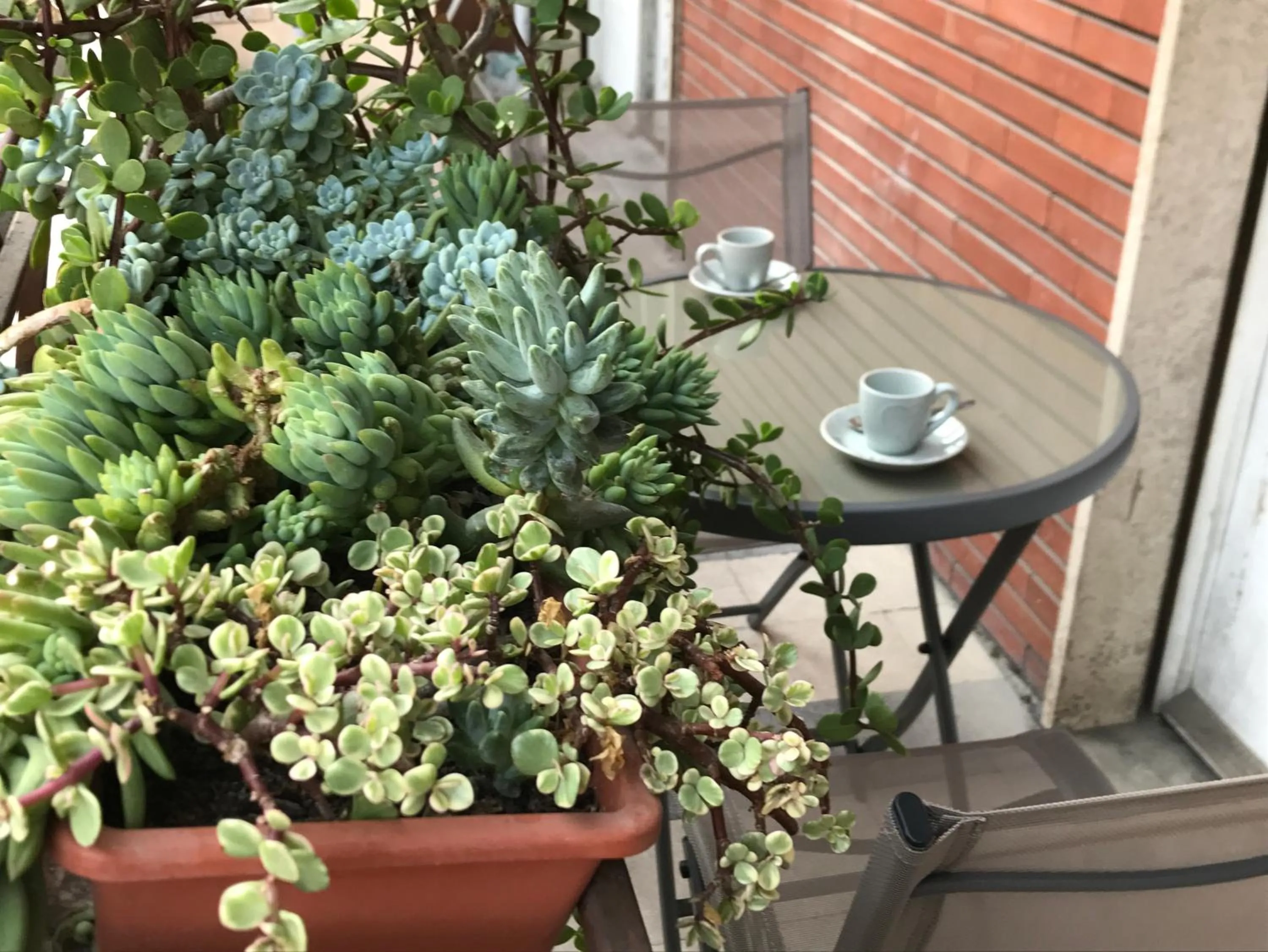 Balcony/Terrace in Pardis Guest house
