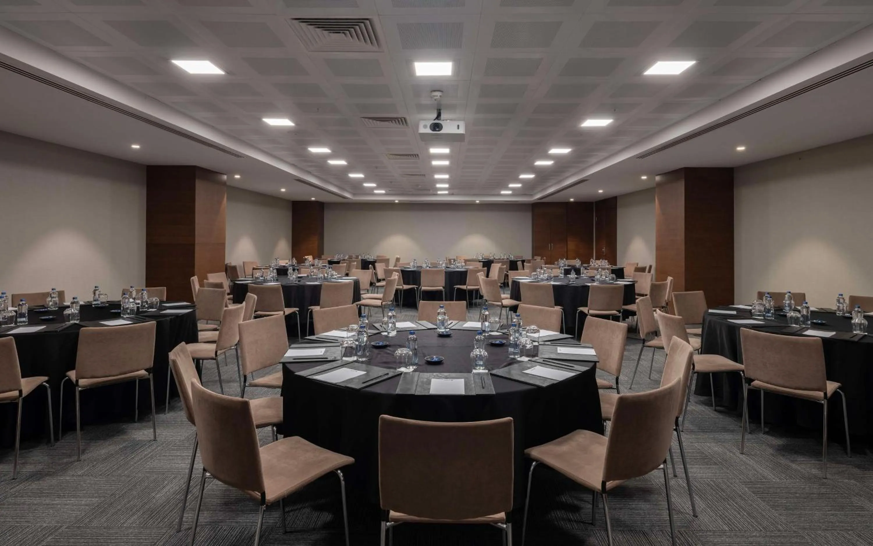 Meeting/conference room in Radisson Blu Hotel Ankara Cankaya