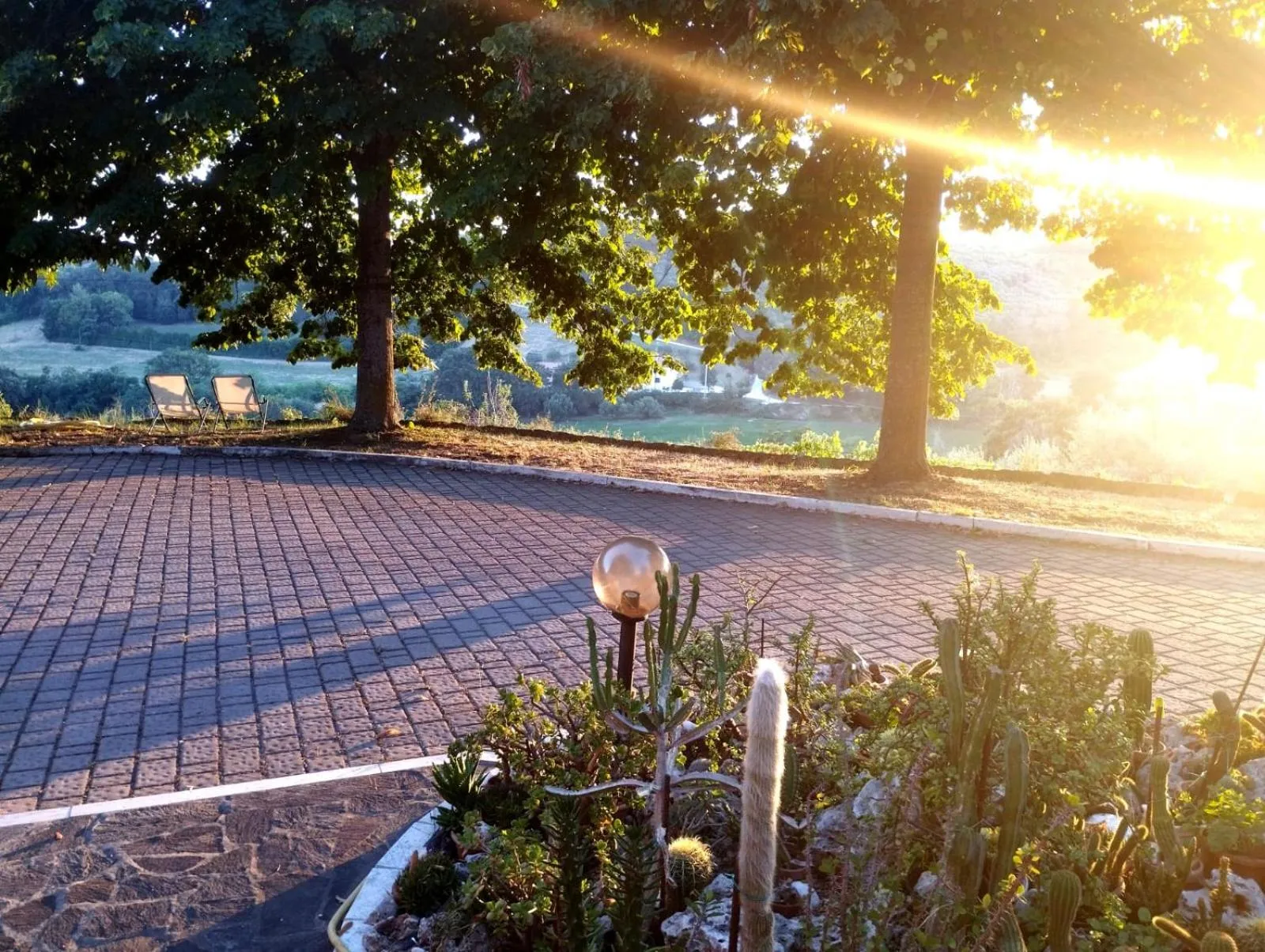 Garden in Il Mandorlo B&B