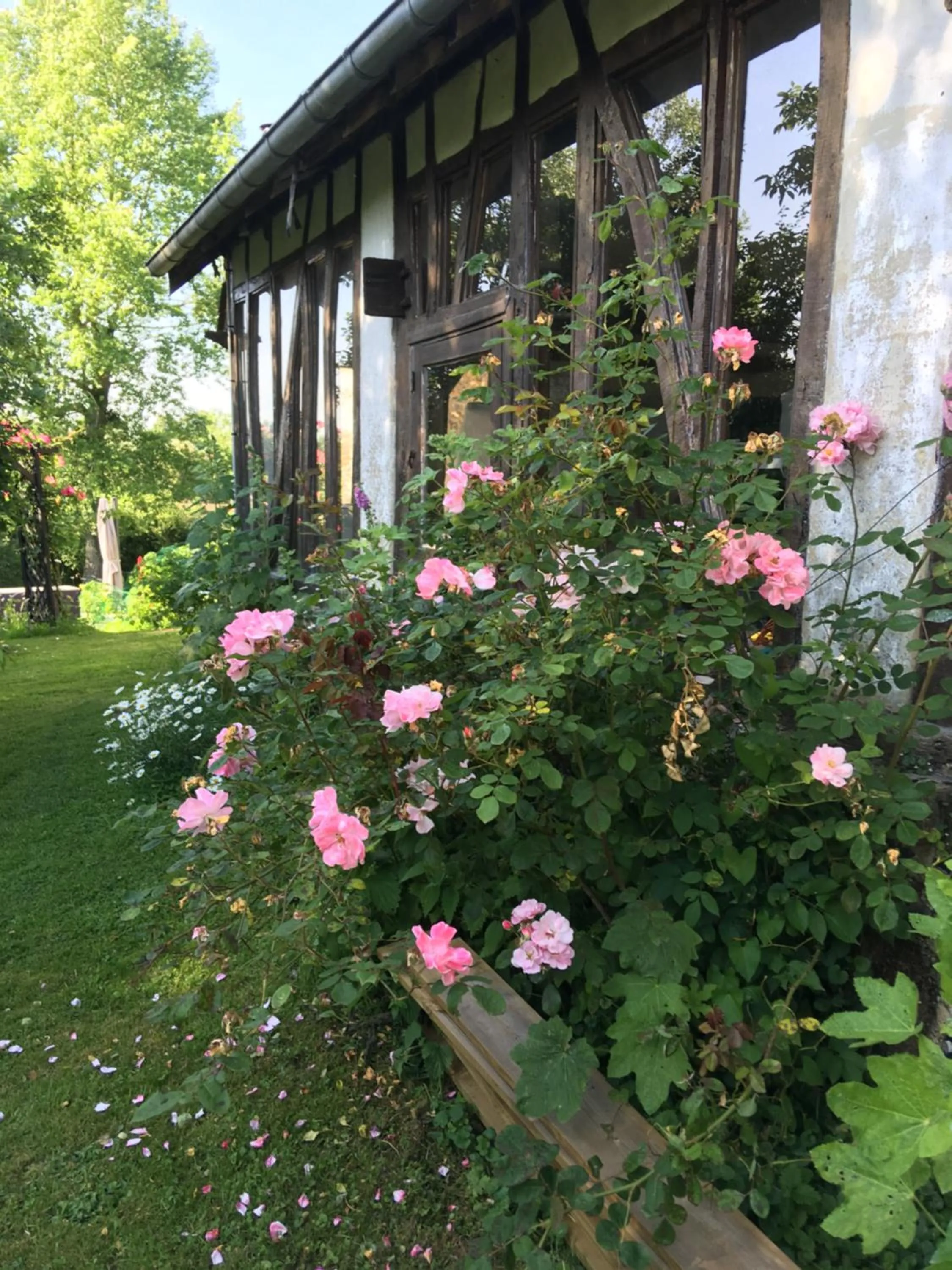 Property building, Garden in Le Clos Dessyag