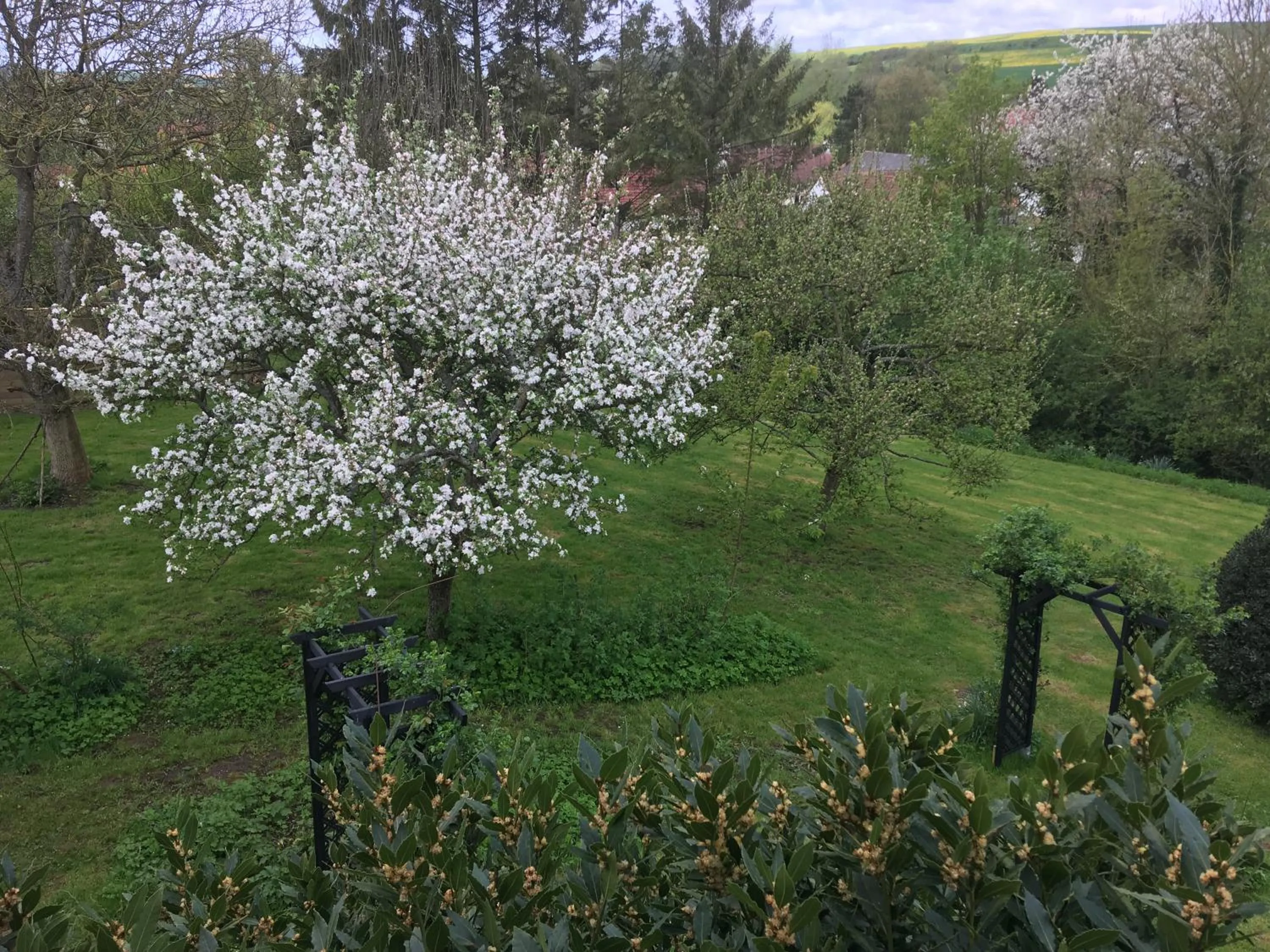 Garden in Le Clos Dessyag