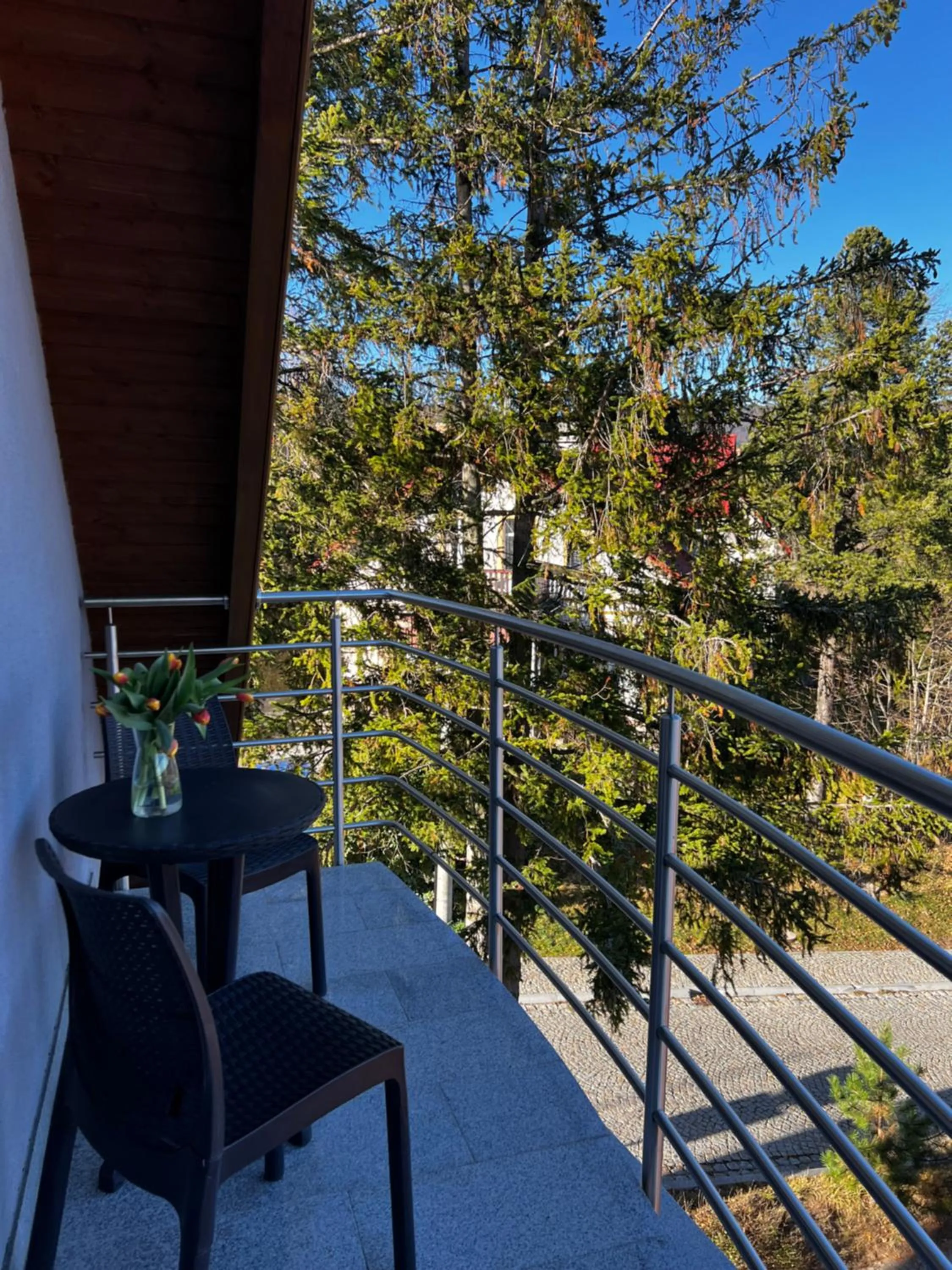 View (from property/room) in Szara Willa tuż przy wyciągu na Szrenicę