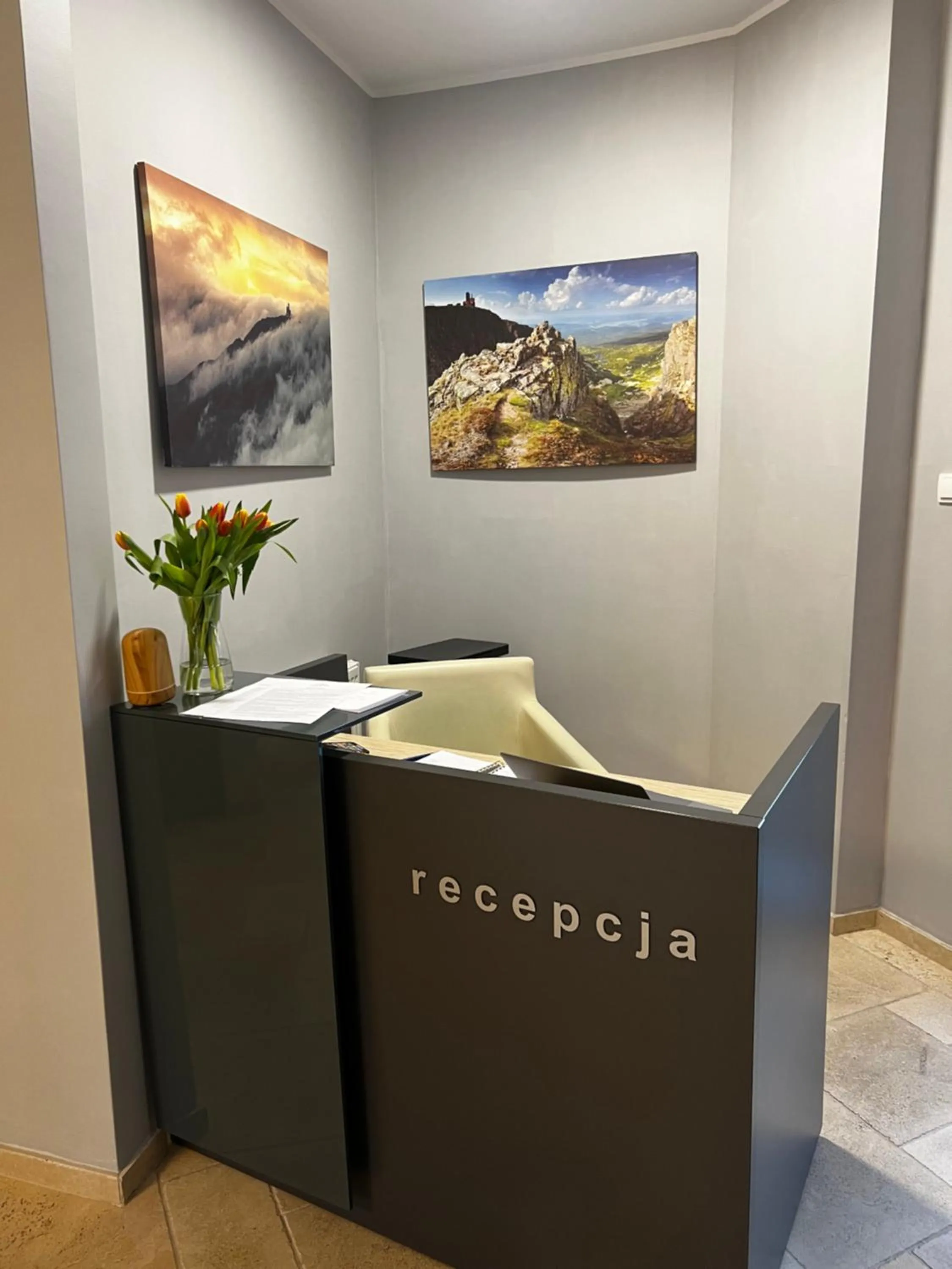 Lobby or reception in Szara Willa tuż przy wyciągu na Szrenicę