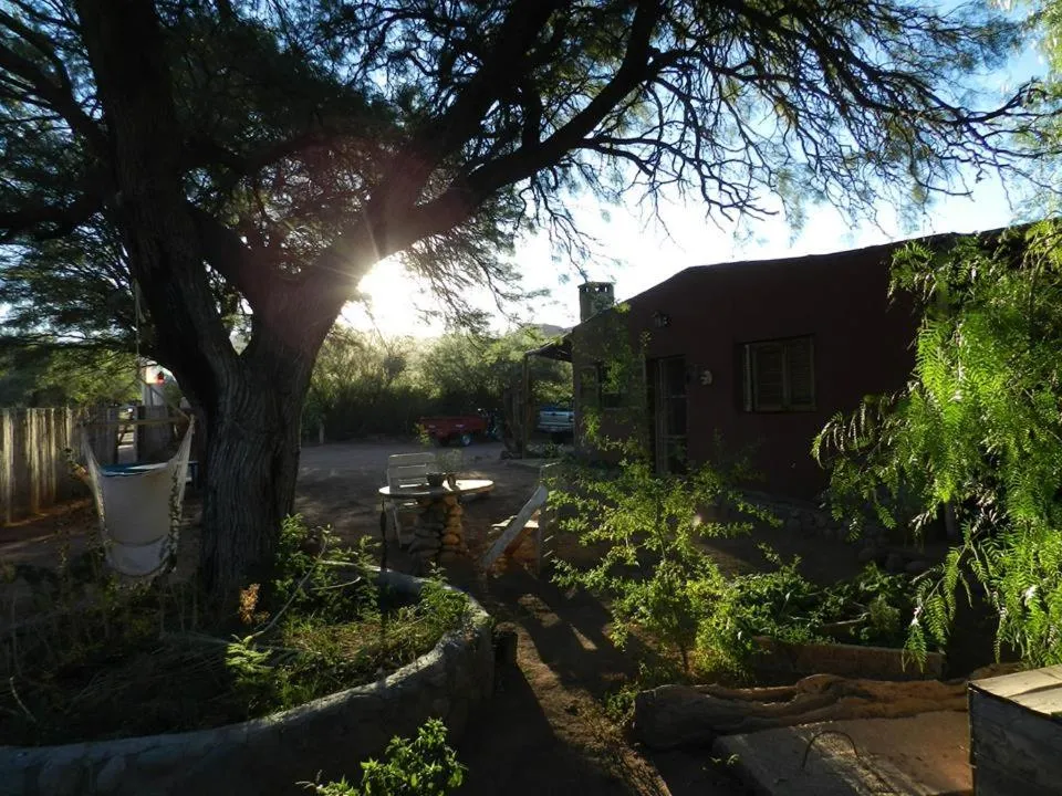 Garden view in Chakana Hospedaje Rural