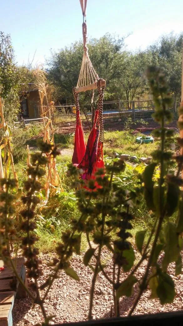 Garden view in Chakana Hospedaje Rural
