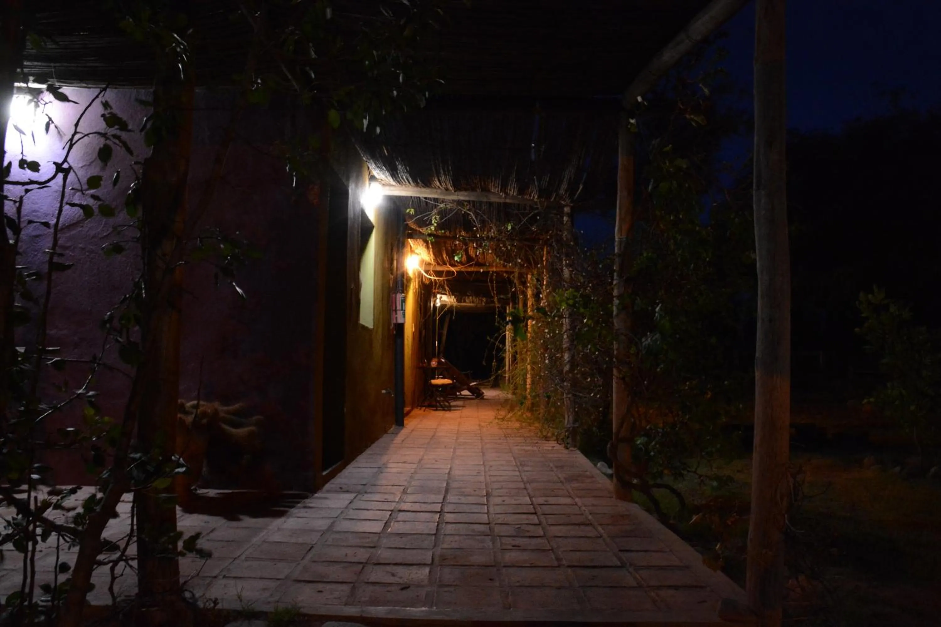 Garden view in Chakana Hospedaje Rural