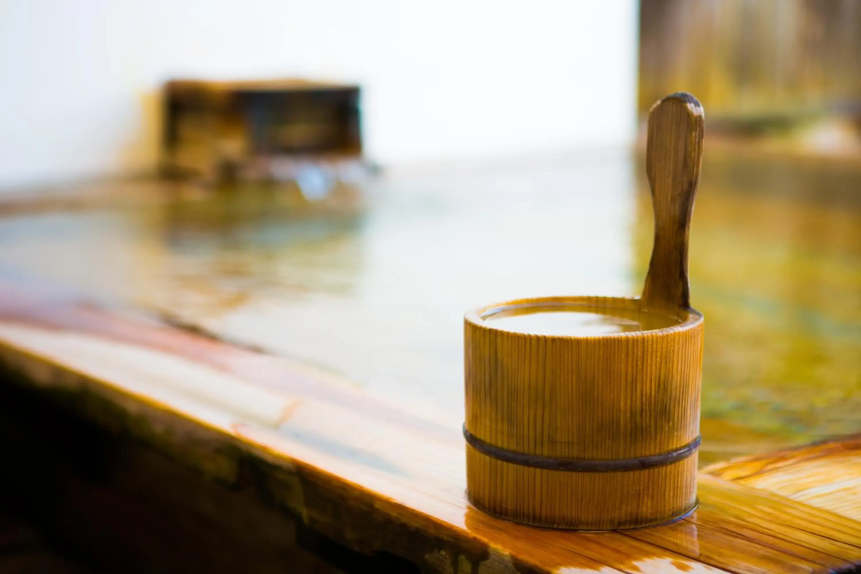 Hot Spring Bath in Hotel Sekitei Hot Spring Bath in Hotel Sekitei