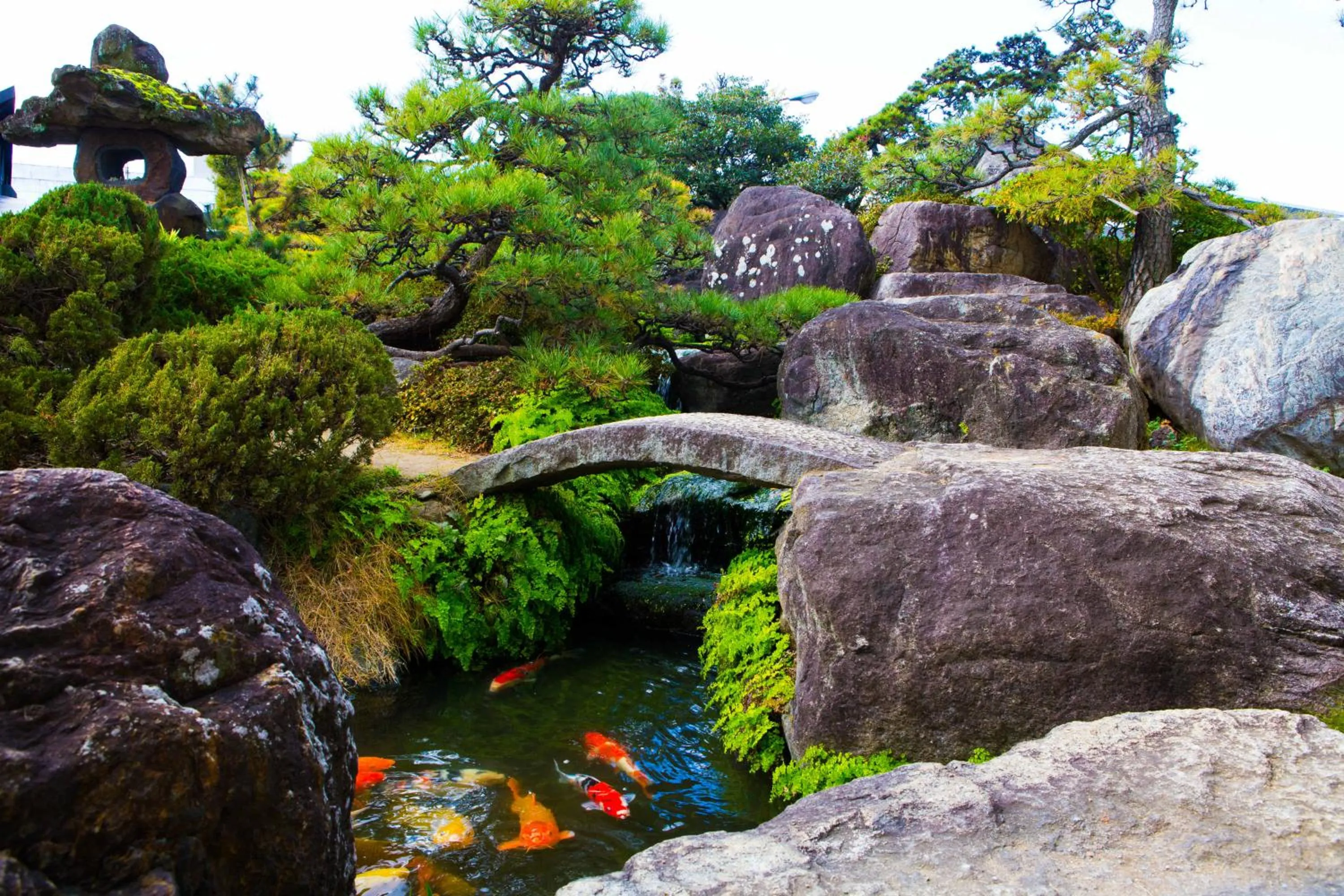 Garden in Hotel Sekitei