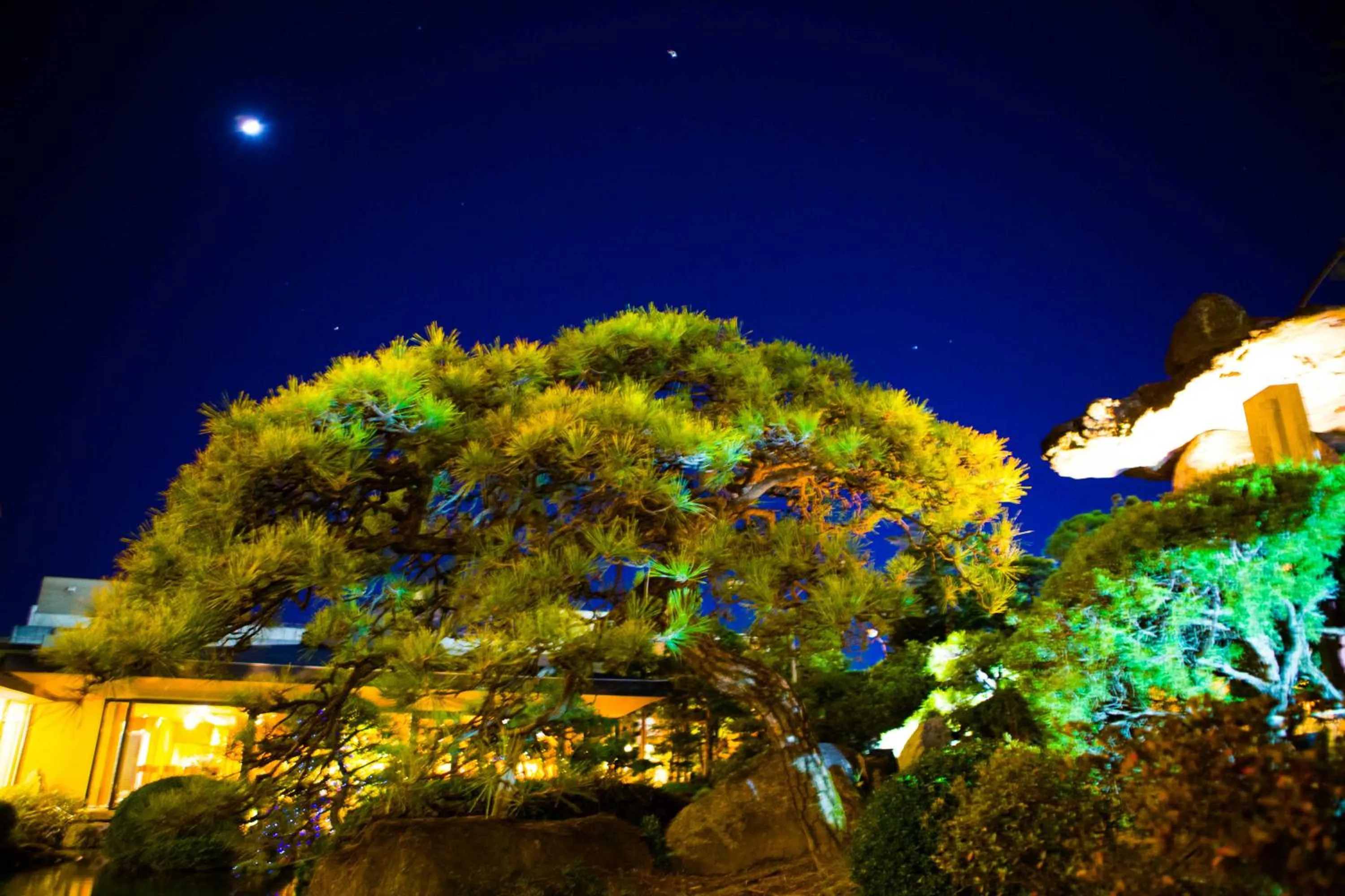 Garden in Hotel Sekitei