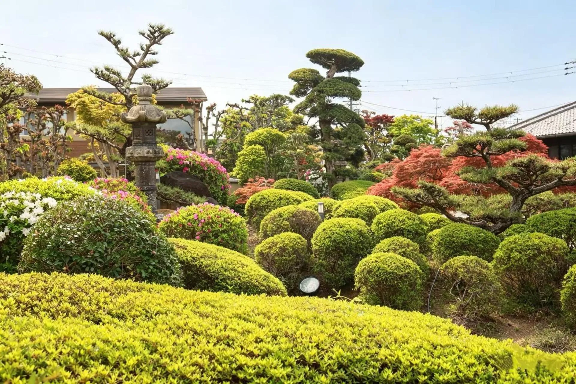 Garden in Kansai Airport Hotel Pine Villa