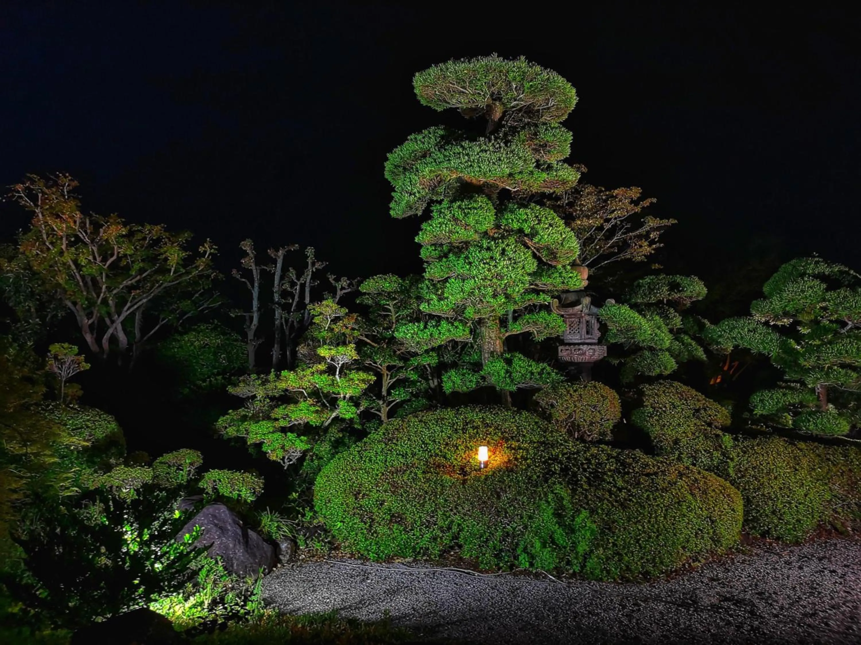 Night in Kansai Airport Hotel Pine Villa