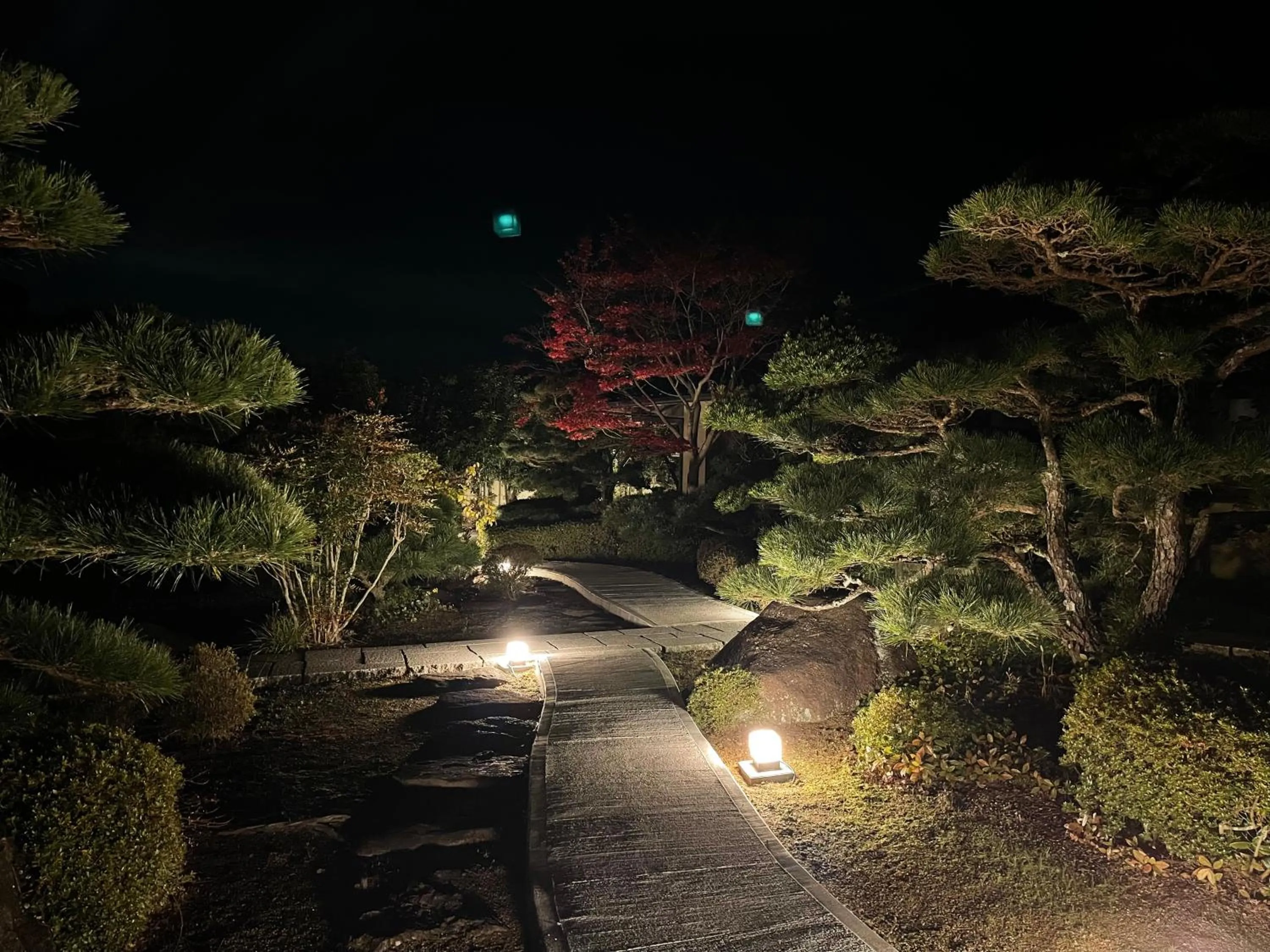 Night in Kansai Airport Hotel Pine Villa