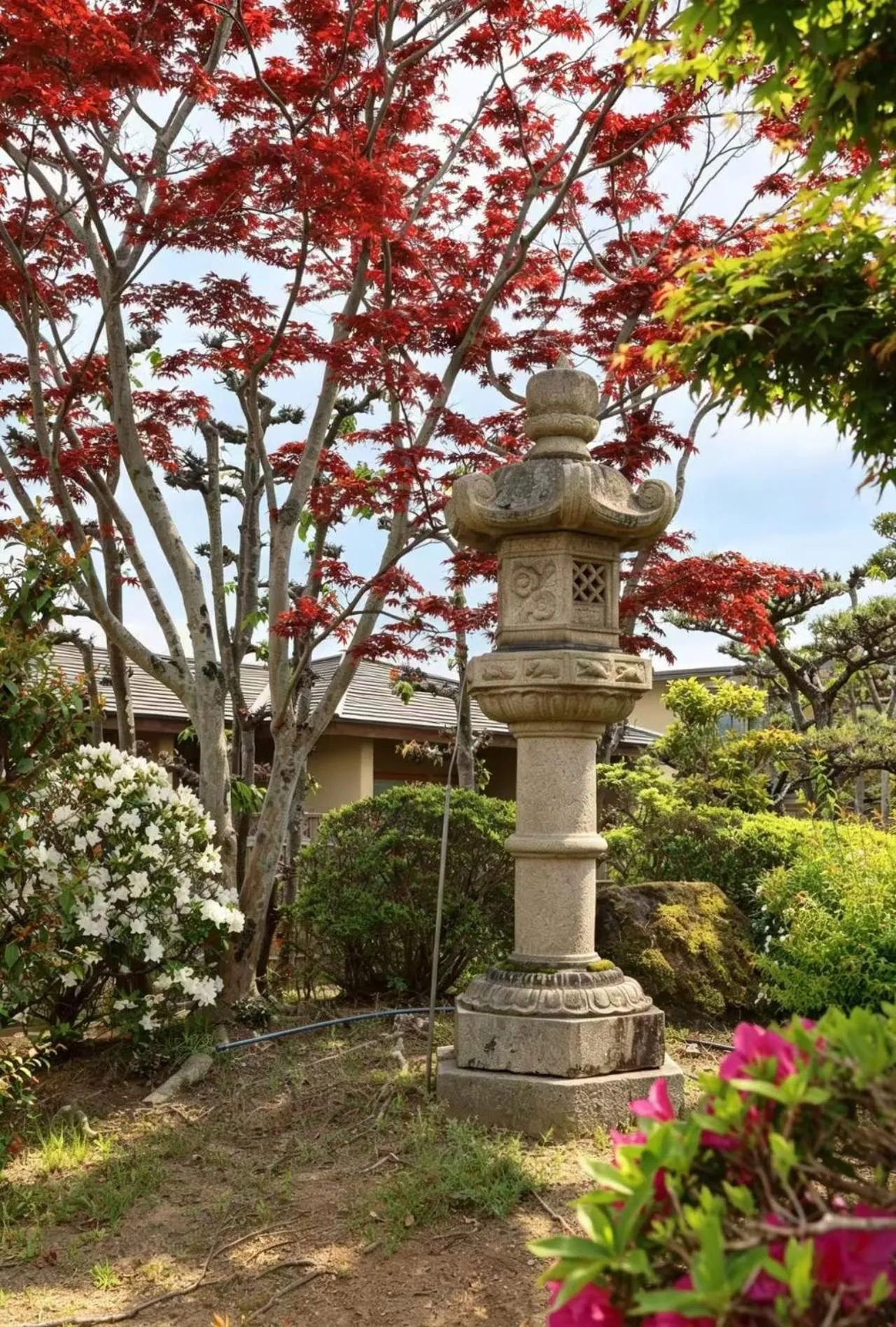 Garden in Kansai Airport Hotel Pine Villa