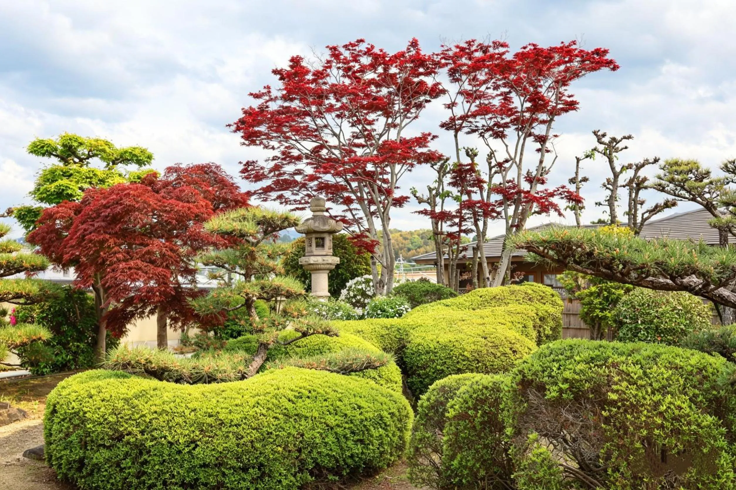 Garden in Kansai Airport Hotel Pine Villa