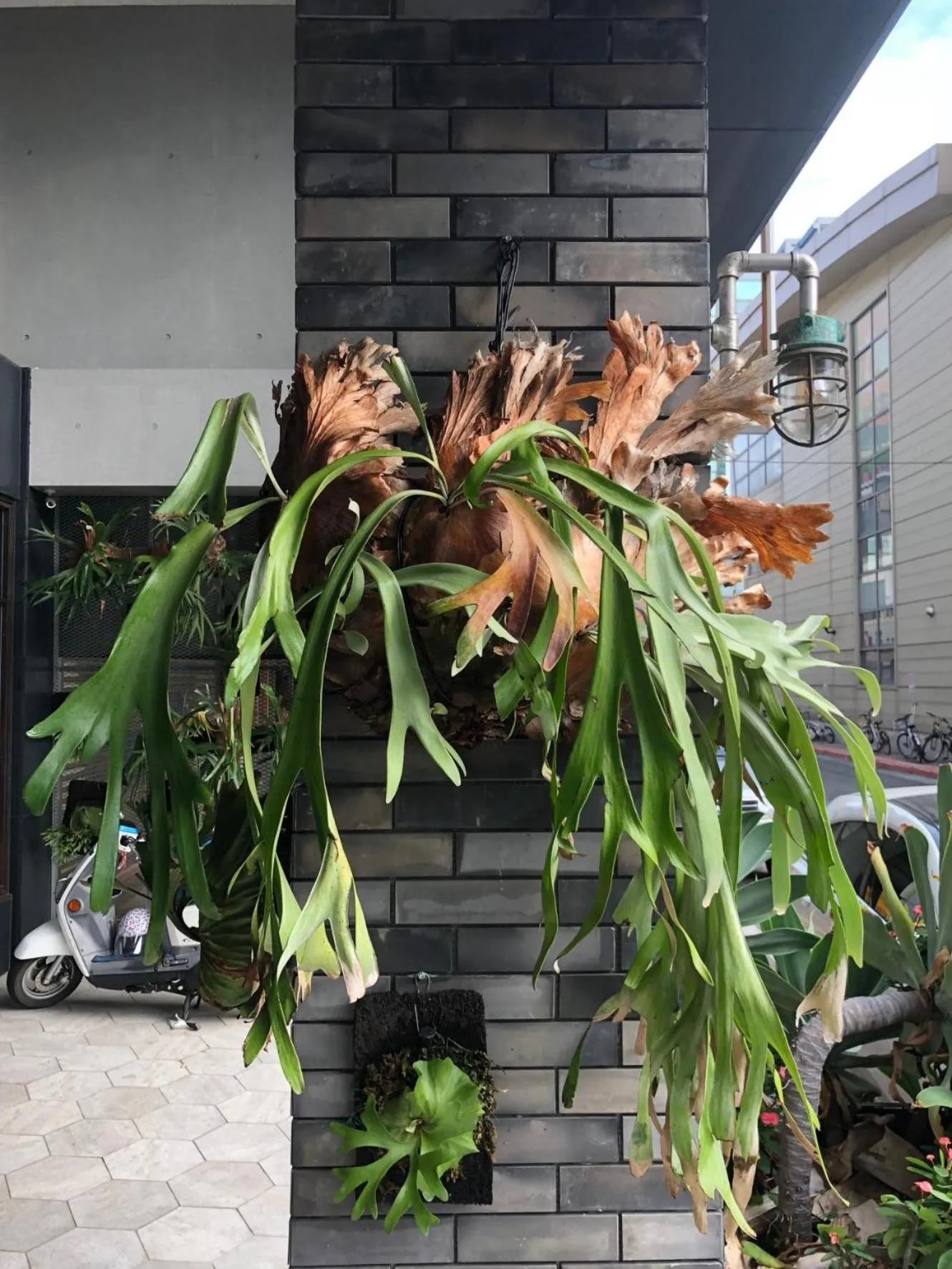 Facade/entrance in PAPO'A Hotel