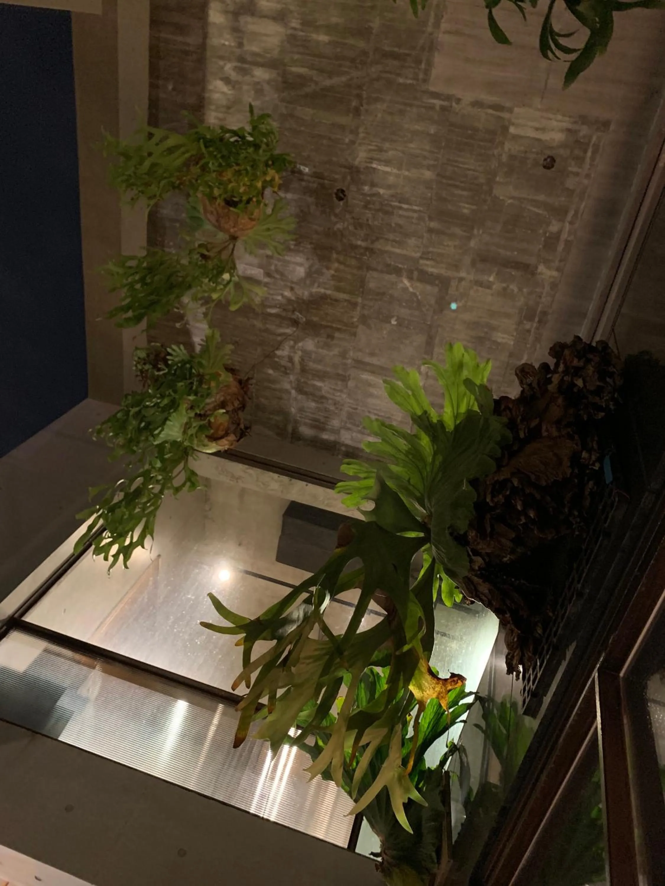 Patio in PAPO'A Hotel