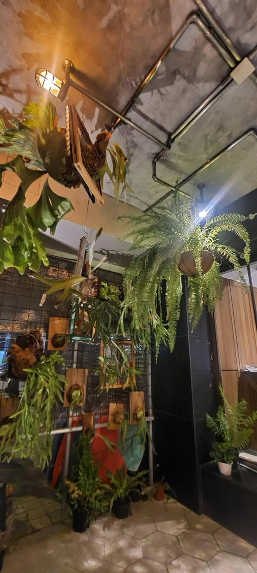 Facade/entrance in PAPO'A Hotel