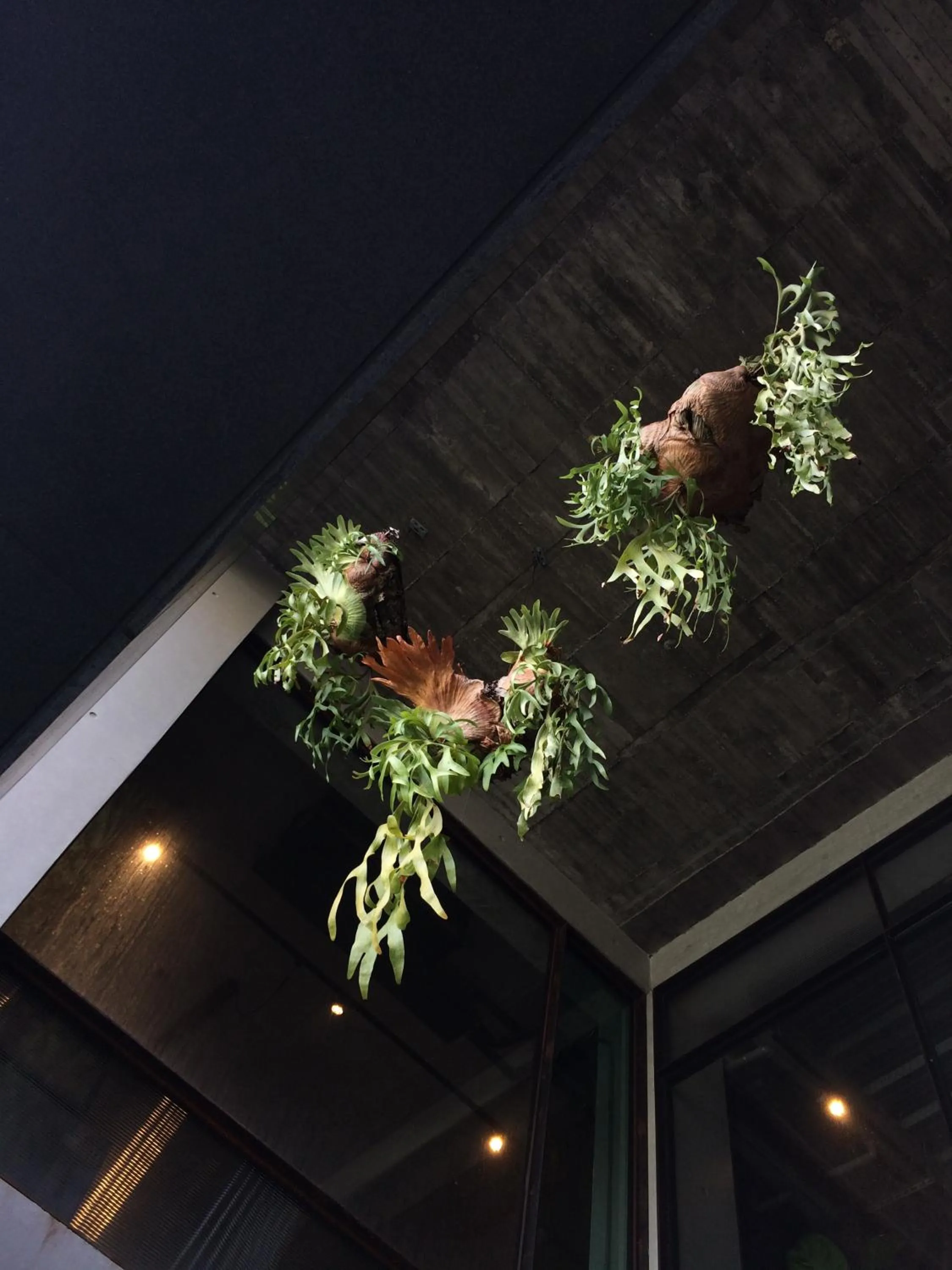 Facade/entrance in PAPO'A Hotel