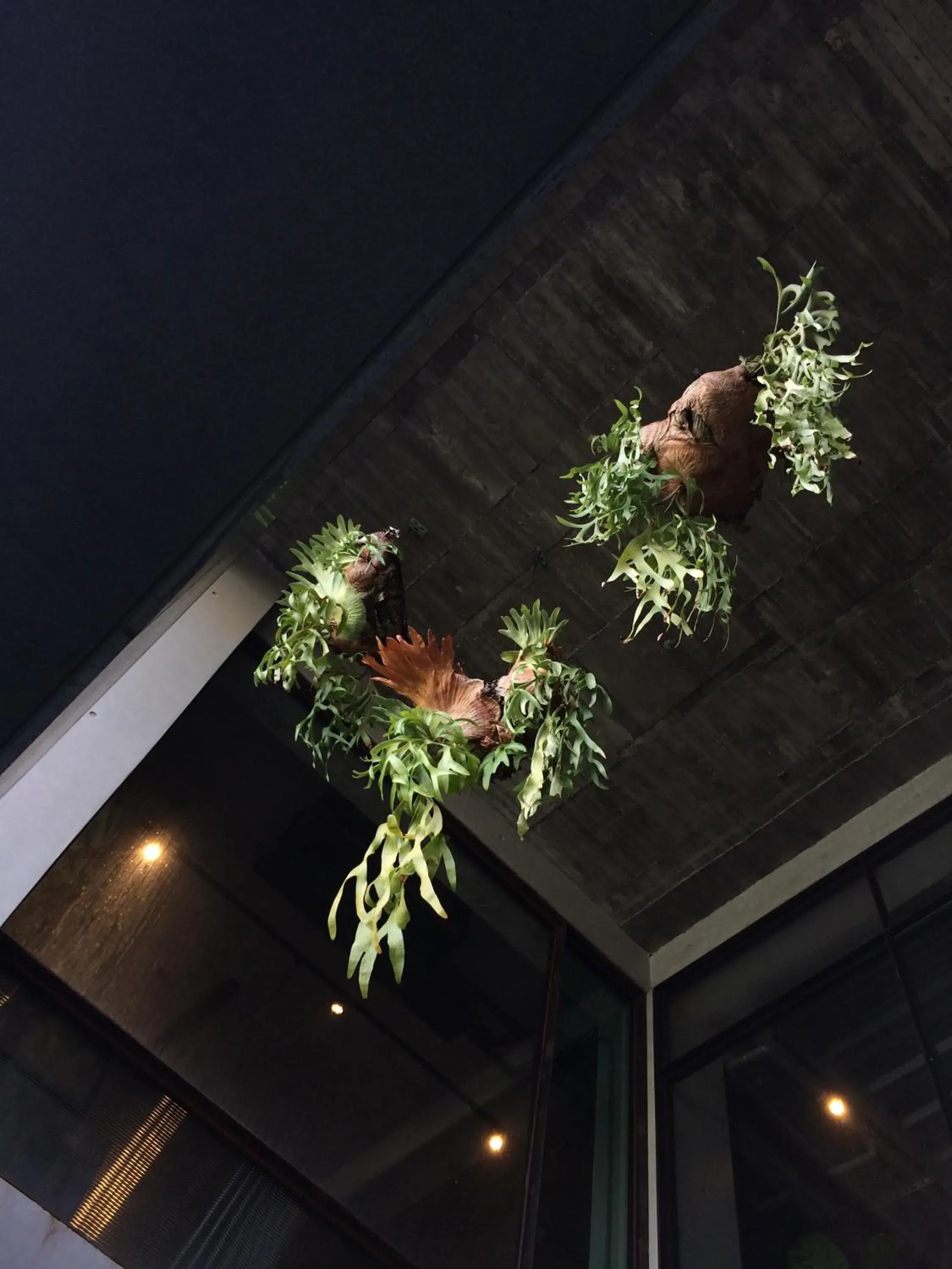 Facade/entrance in PAPO'A Hotel Facade/entrance in PAPO'A Hotel