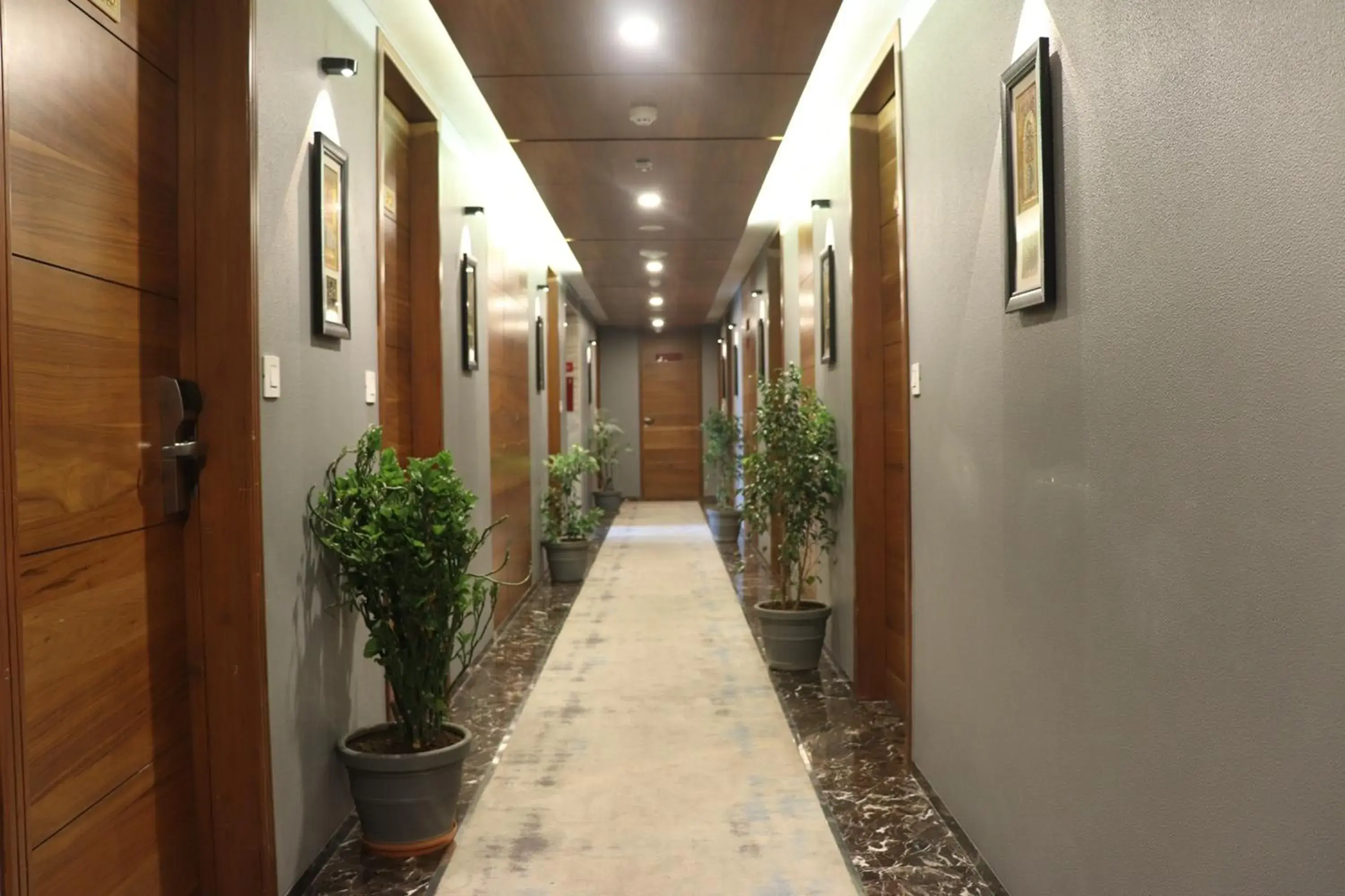 Property building in Shree Kanak Udaipur Property building in Shree Kanak Udaipur