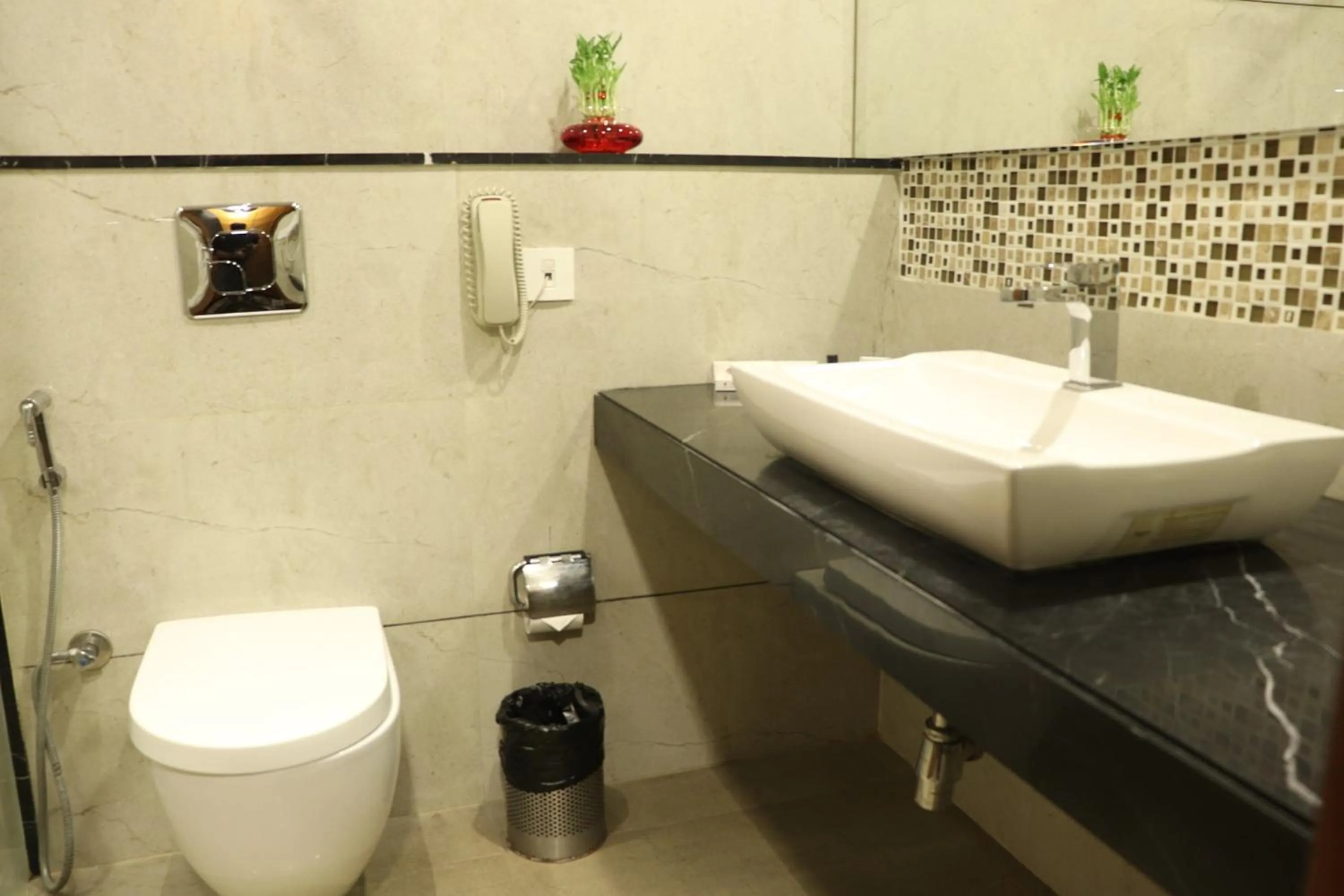 Bathroom in Shree Kanak Udaipur