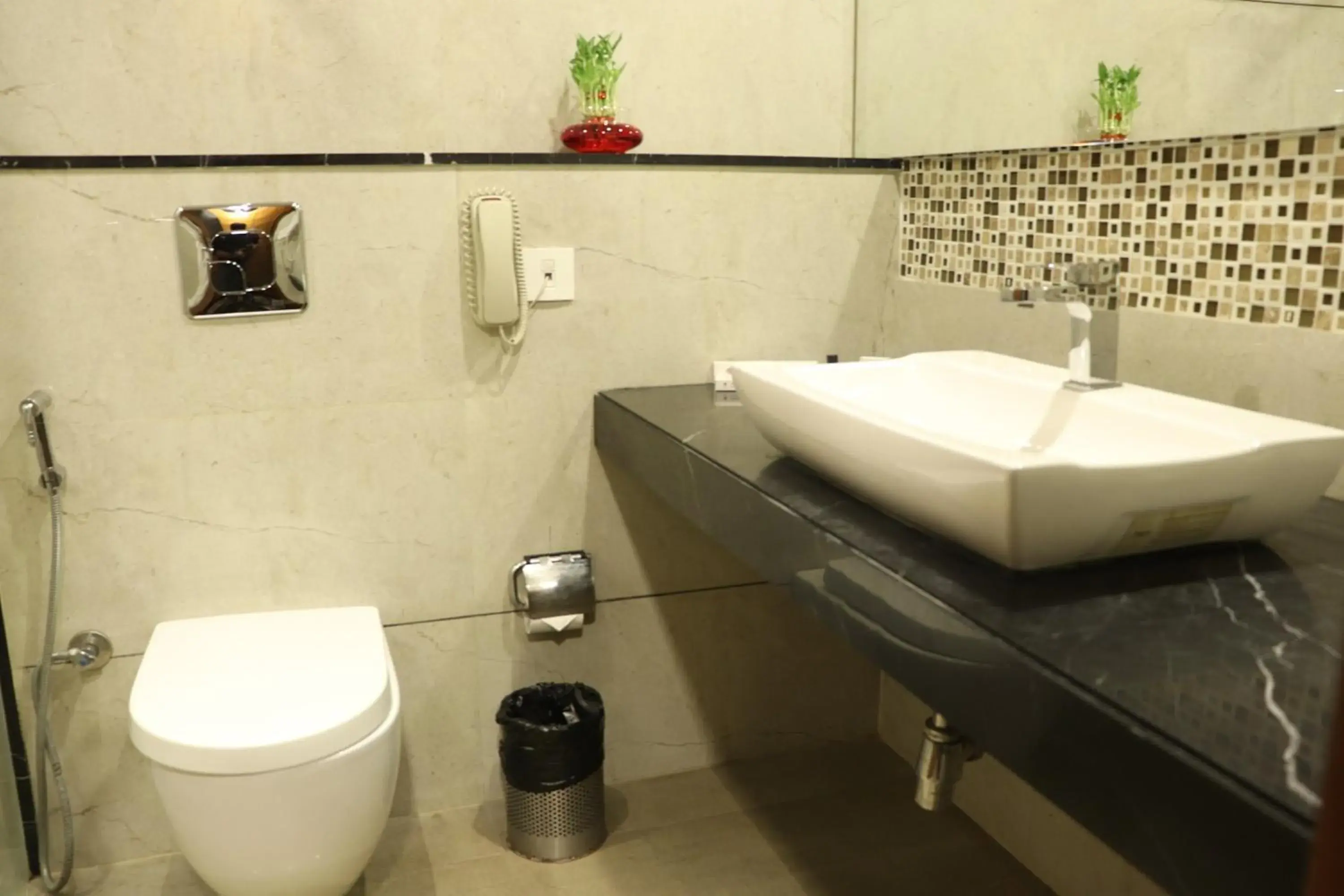 Bathroom in Shree Kanak Udaipur Bathroom in Shree Kanak Udaipur