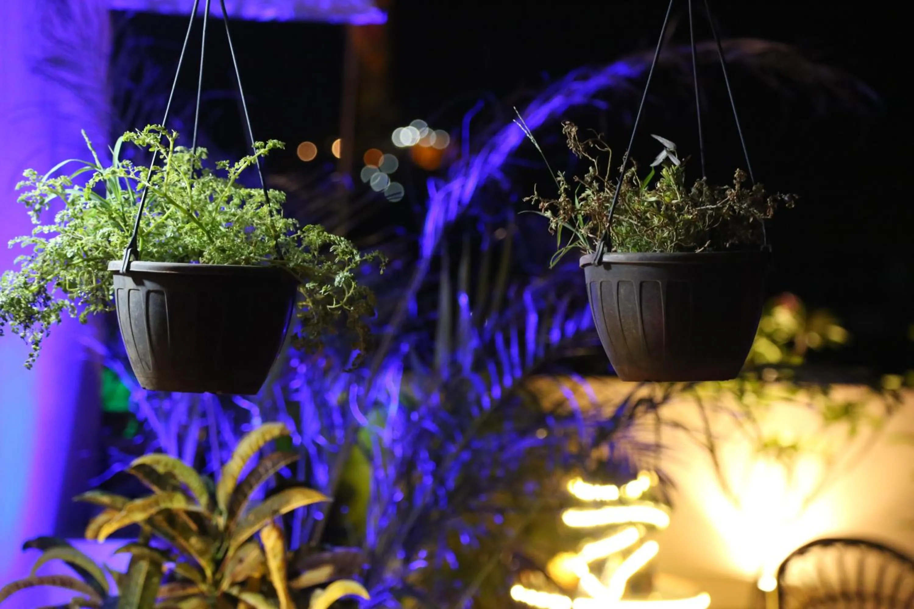 Property logo or sign in Nahargarh Palace Hotel