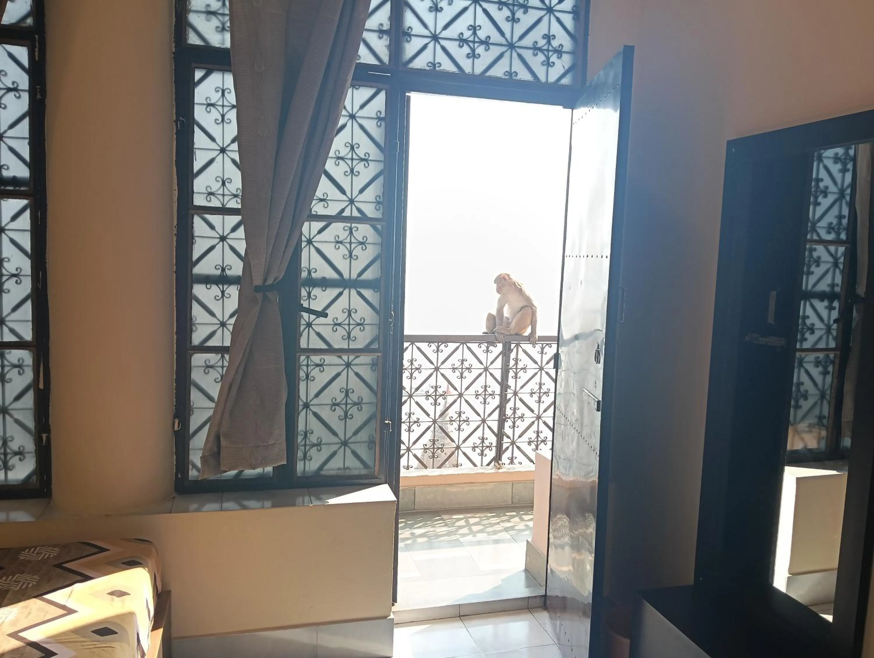 Balcony/Terrace in Scindhia Guest House