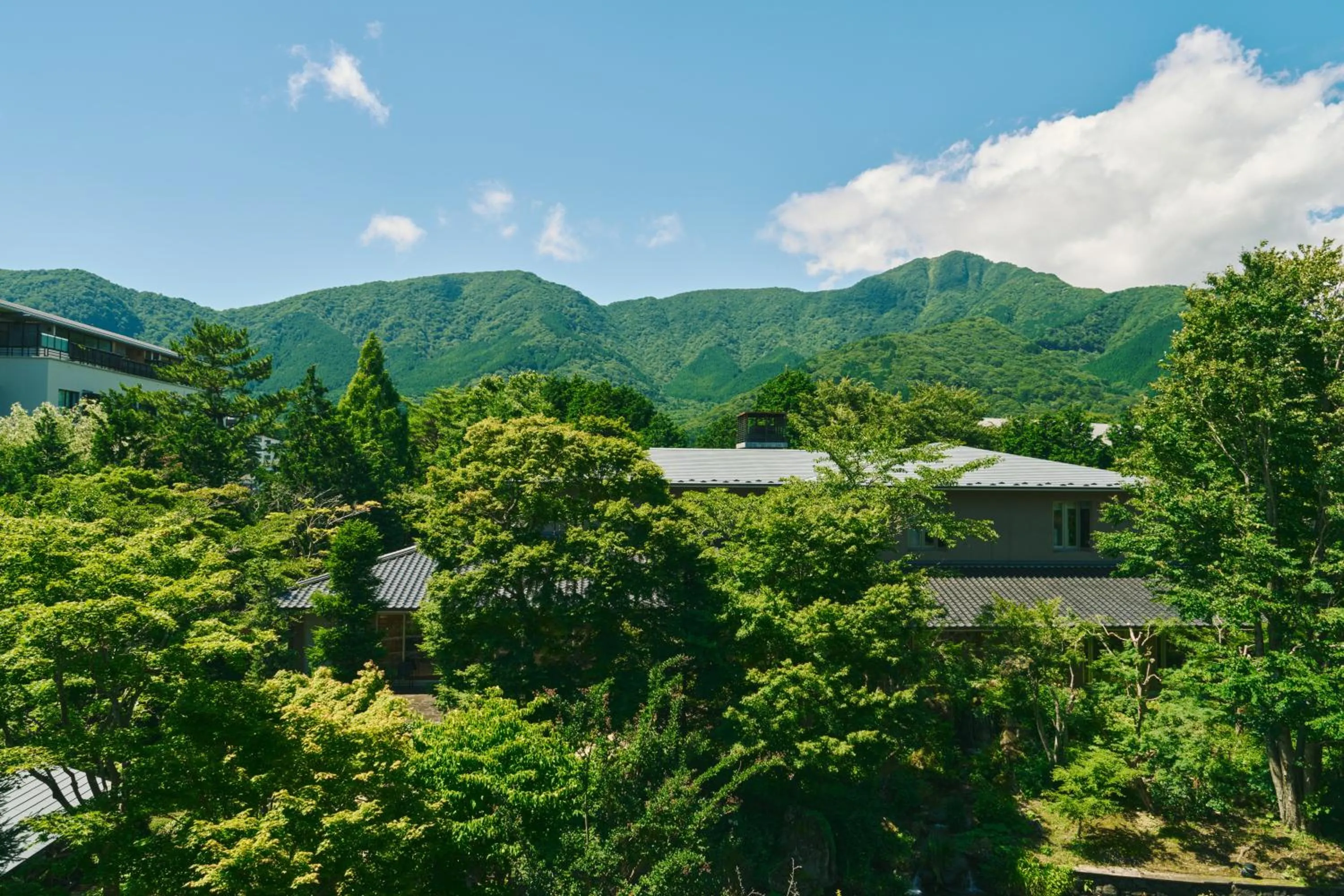 Photo of the whole room in Hakone Hisui