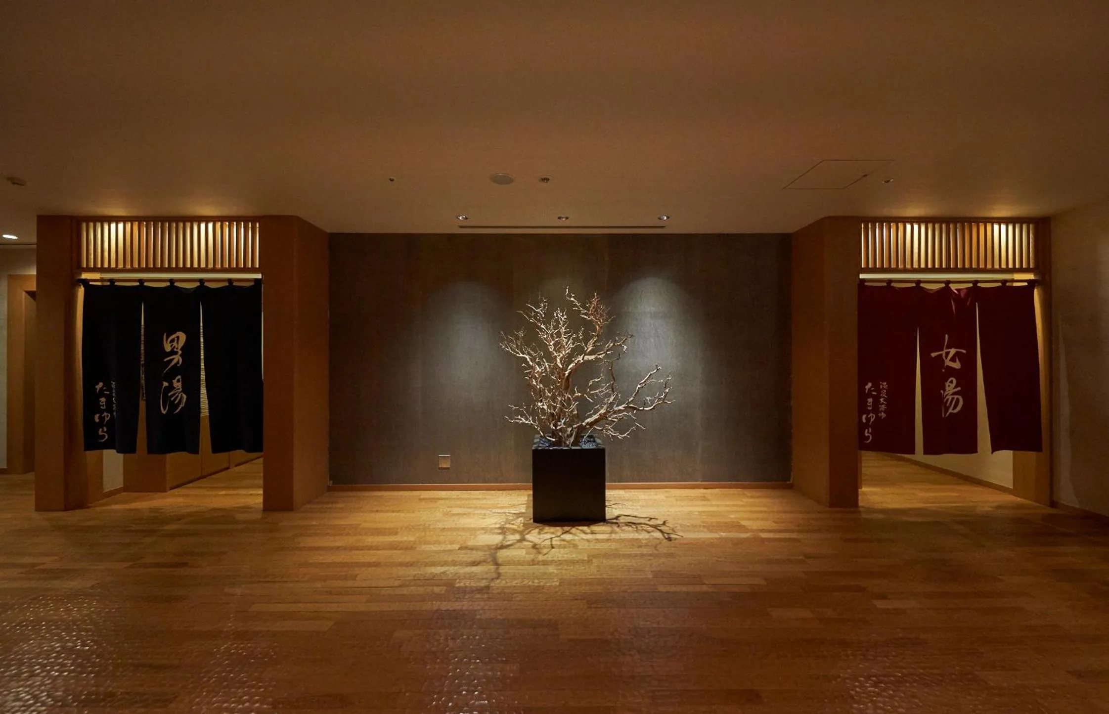 Area and facilities in Hakone Hisui