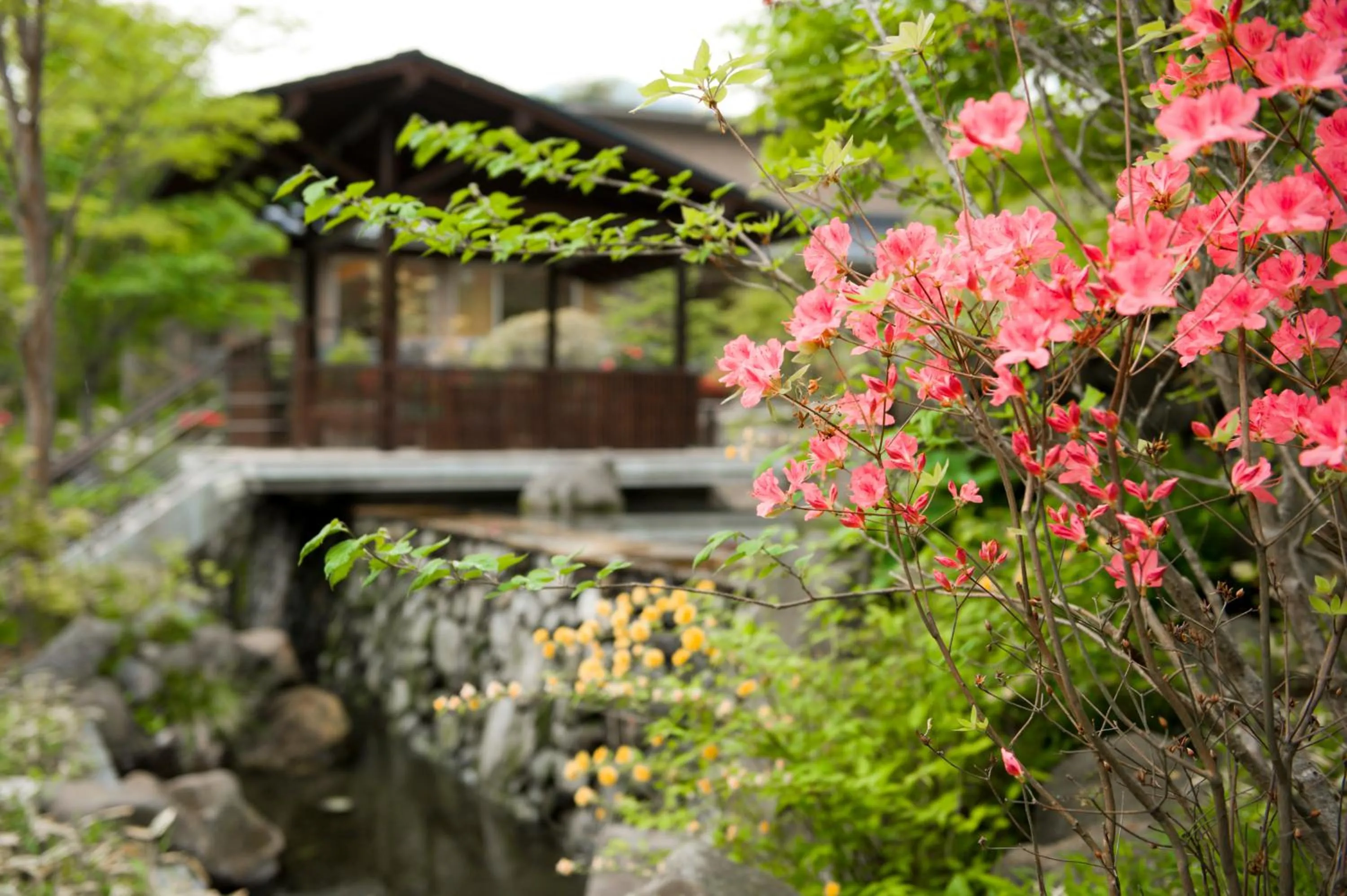 Garden in Hakone Hisui