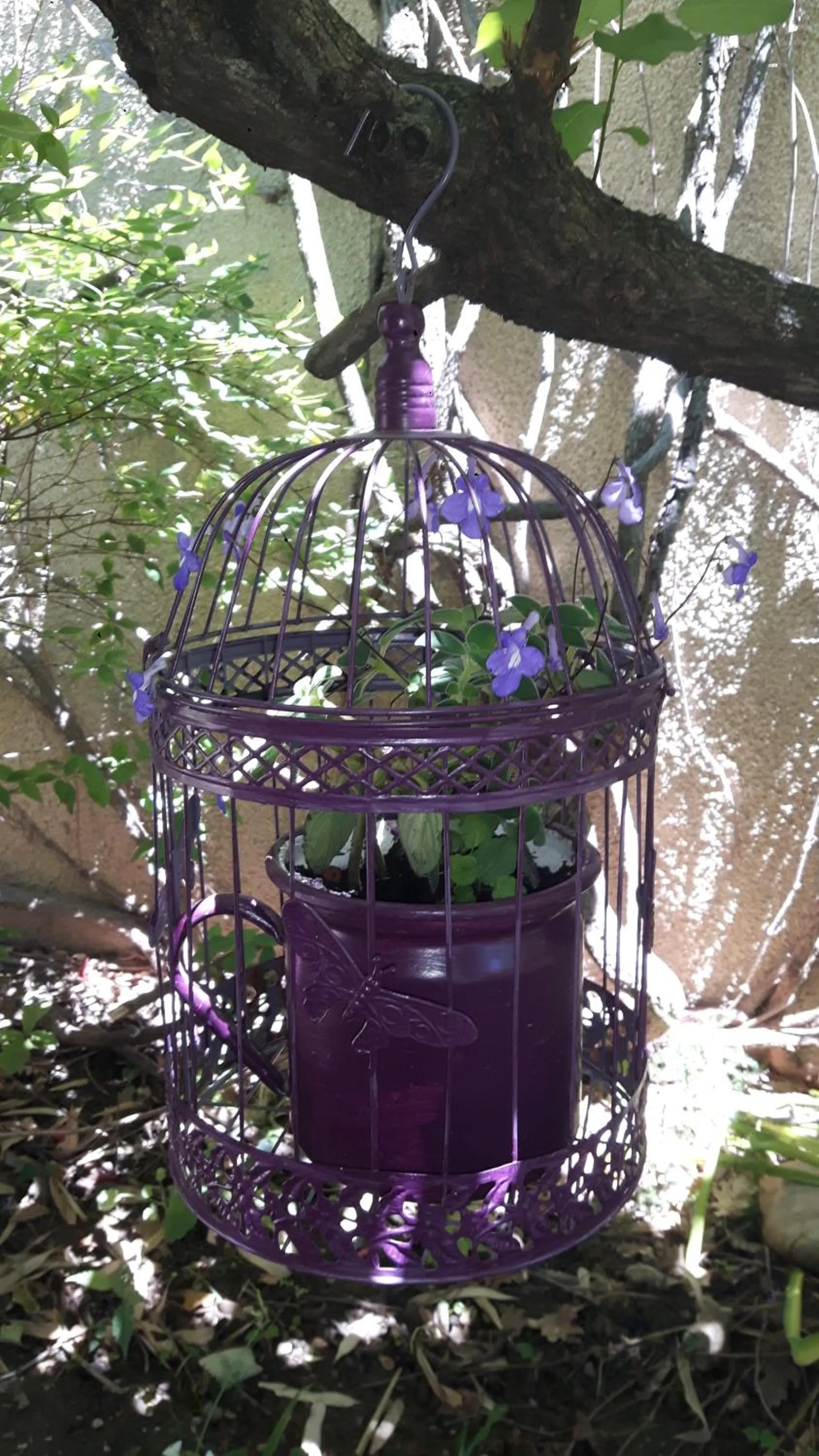 Garden view in Louminai