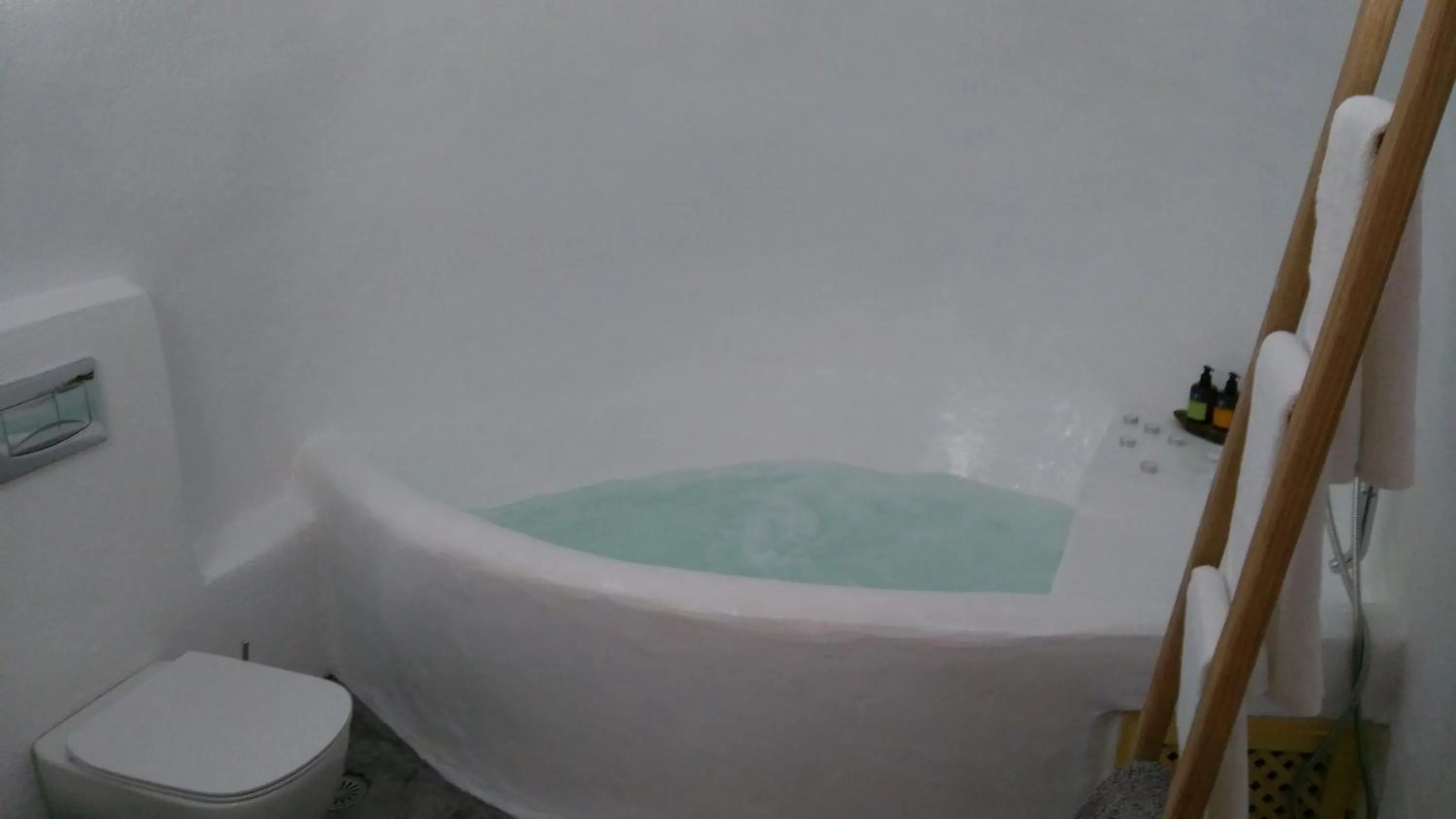 Shower in Akron Cliff Suite